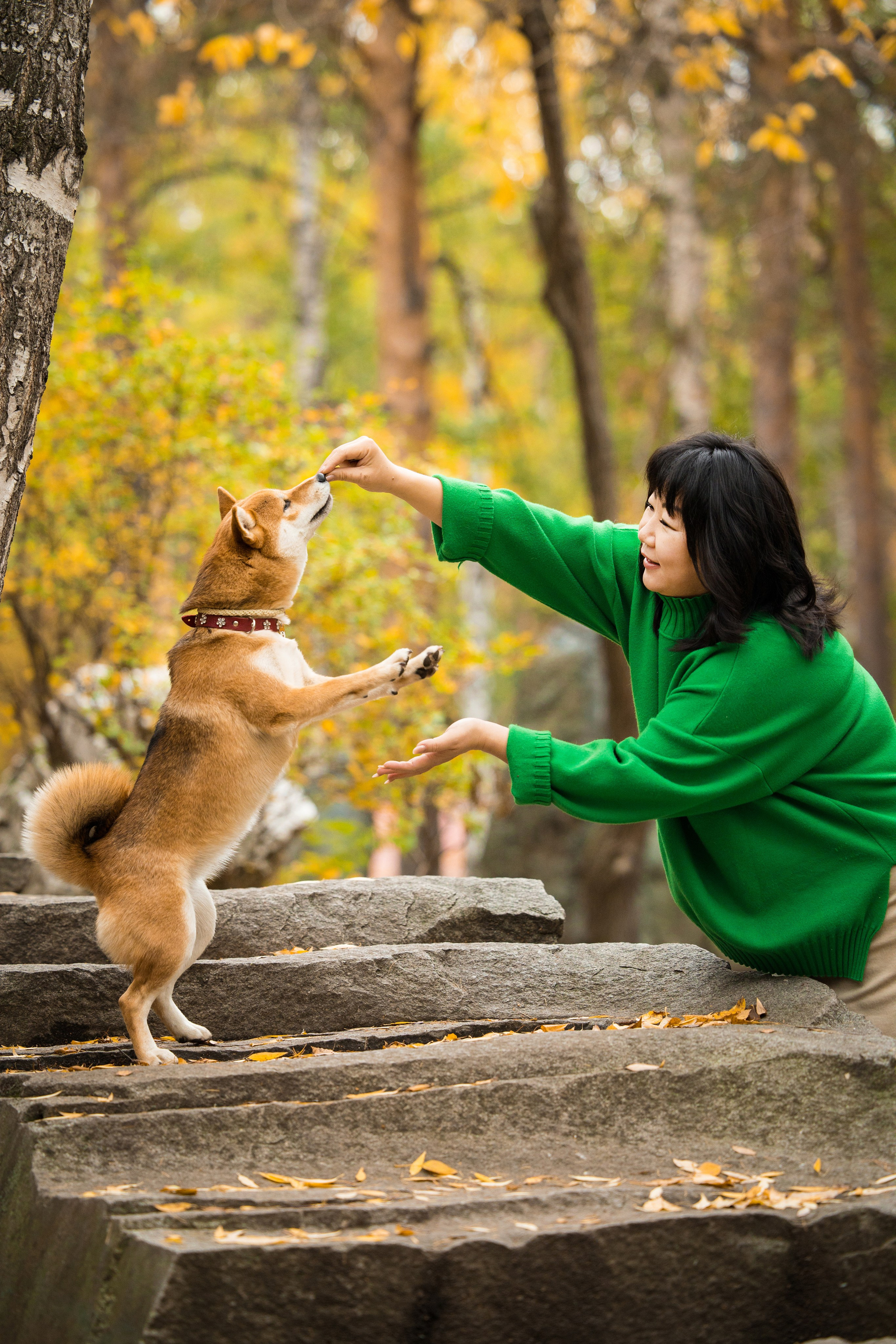 Портфолио. Фотограф-анималист в Екатеринбурге Марина Шишкина