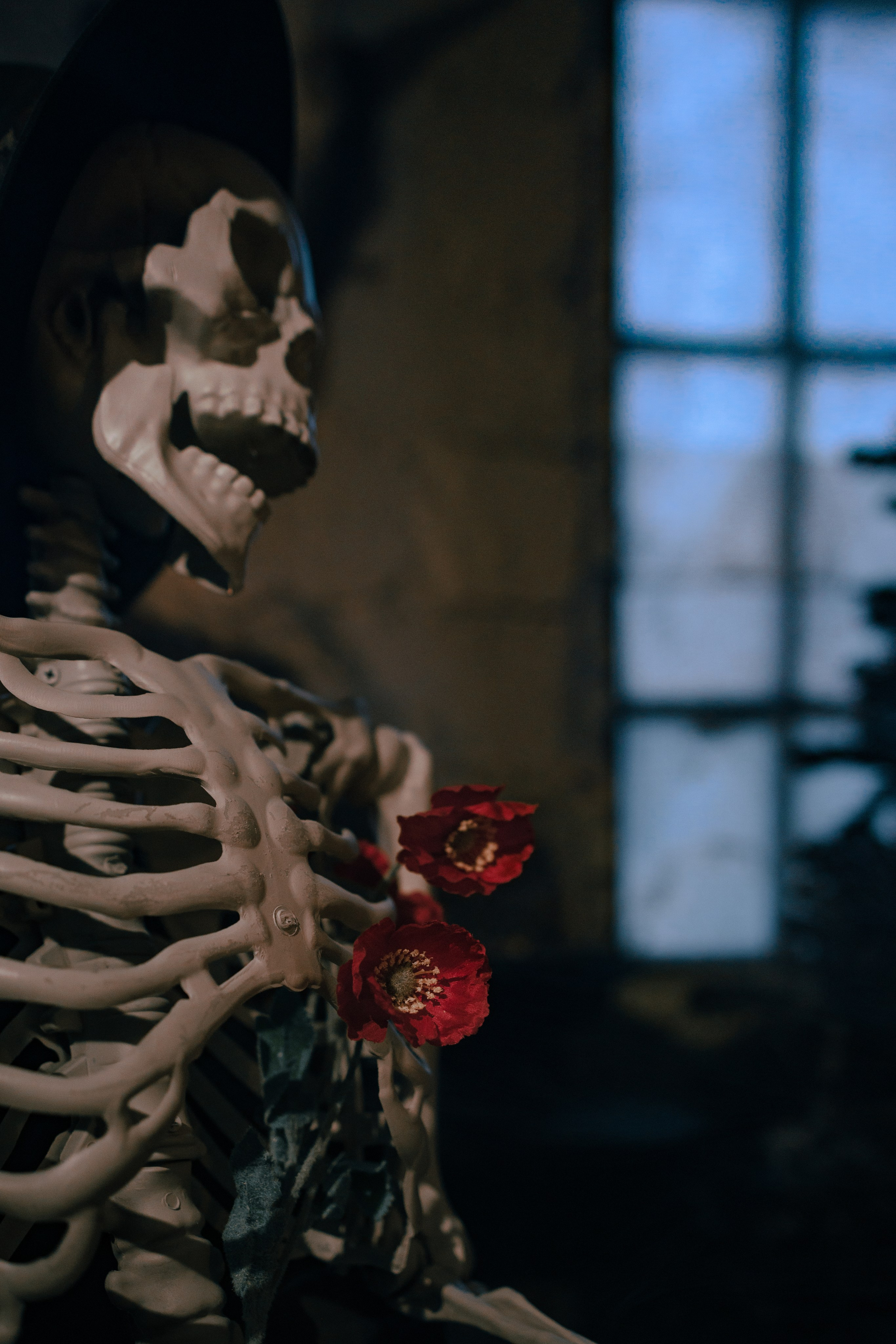 Тайны старого замка