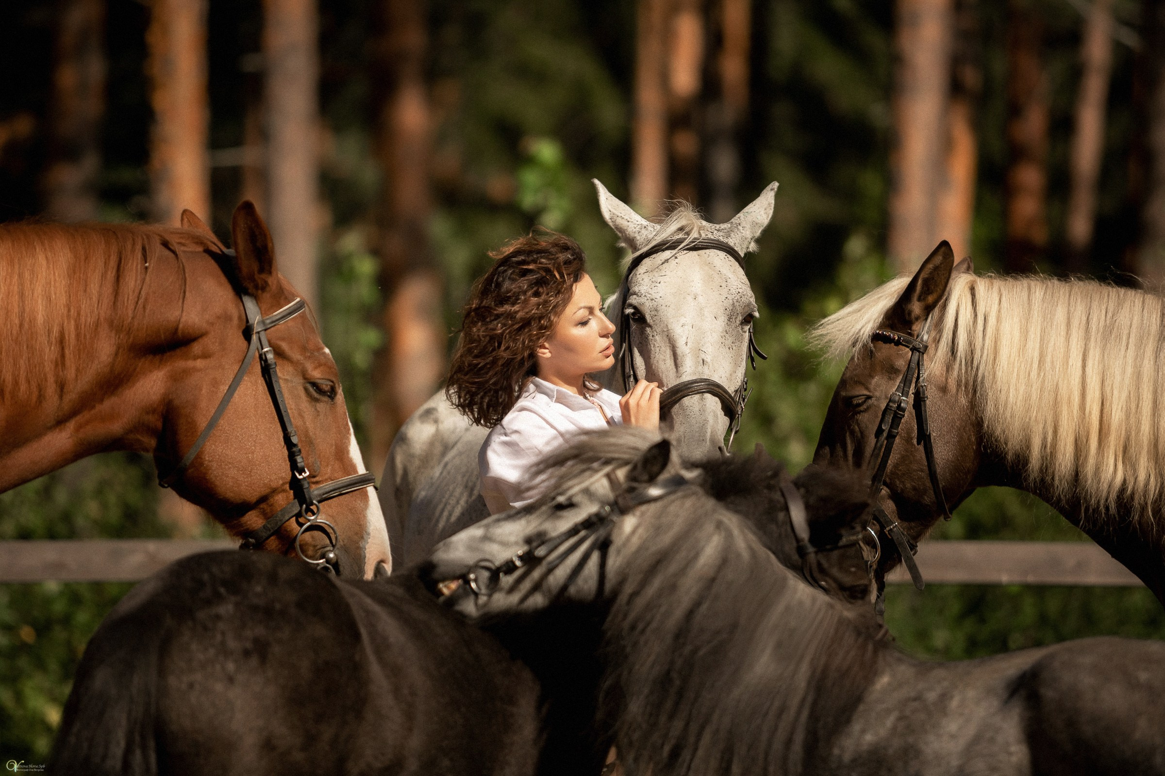Фотосессии с лошадьми летом. Фотограф женский и мужской портрет Санкт-Петербург