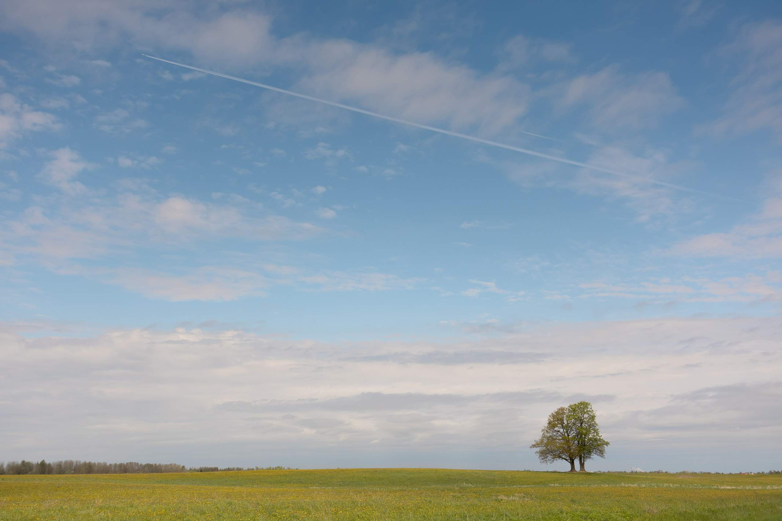 Однажды в сказке. Свадебный и семейный фотограф Арина Кулёва