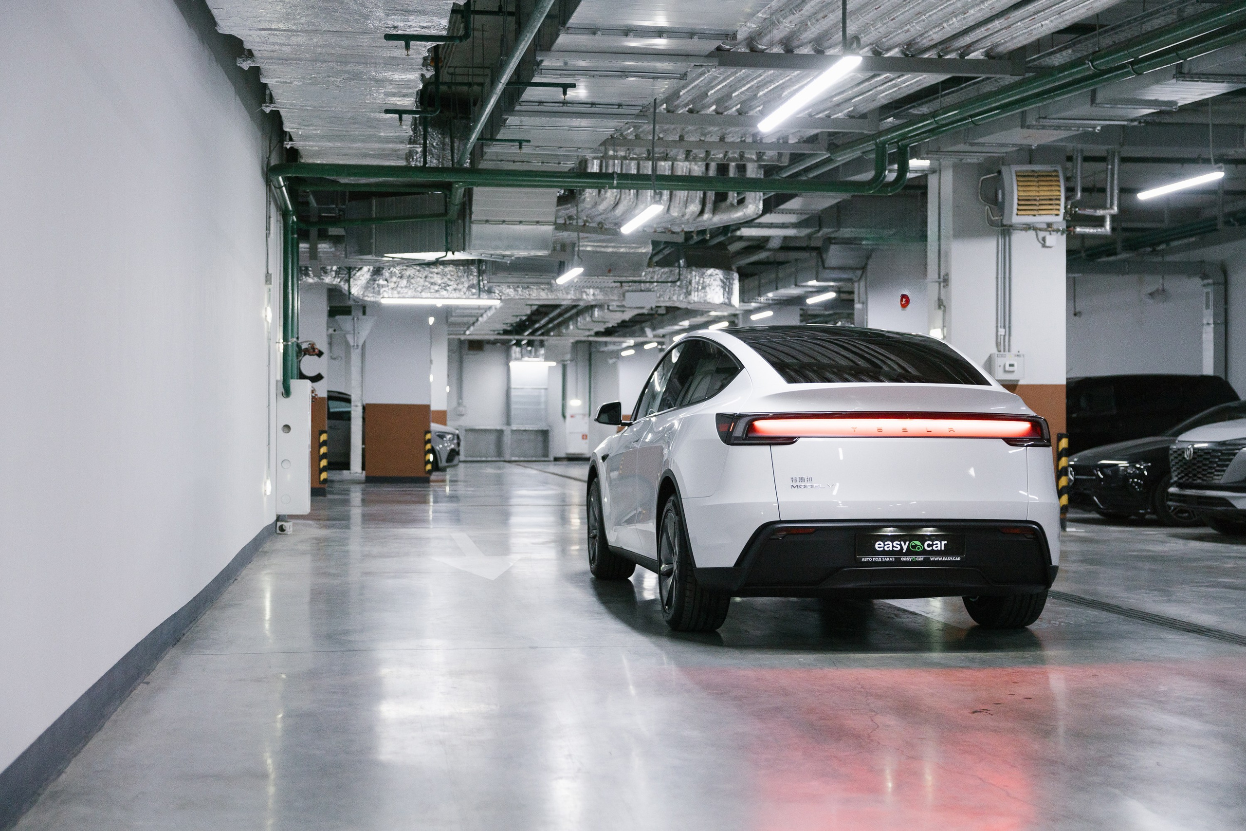 Model Y+. Эстетика Sveta