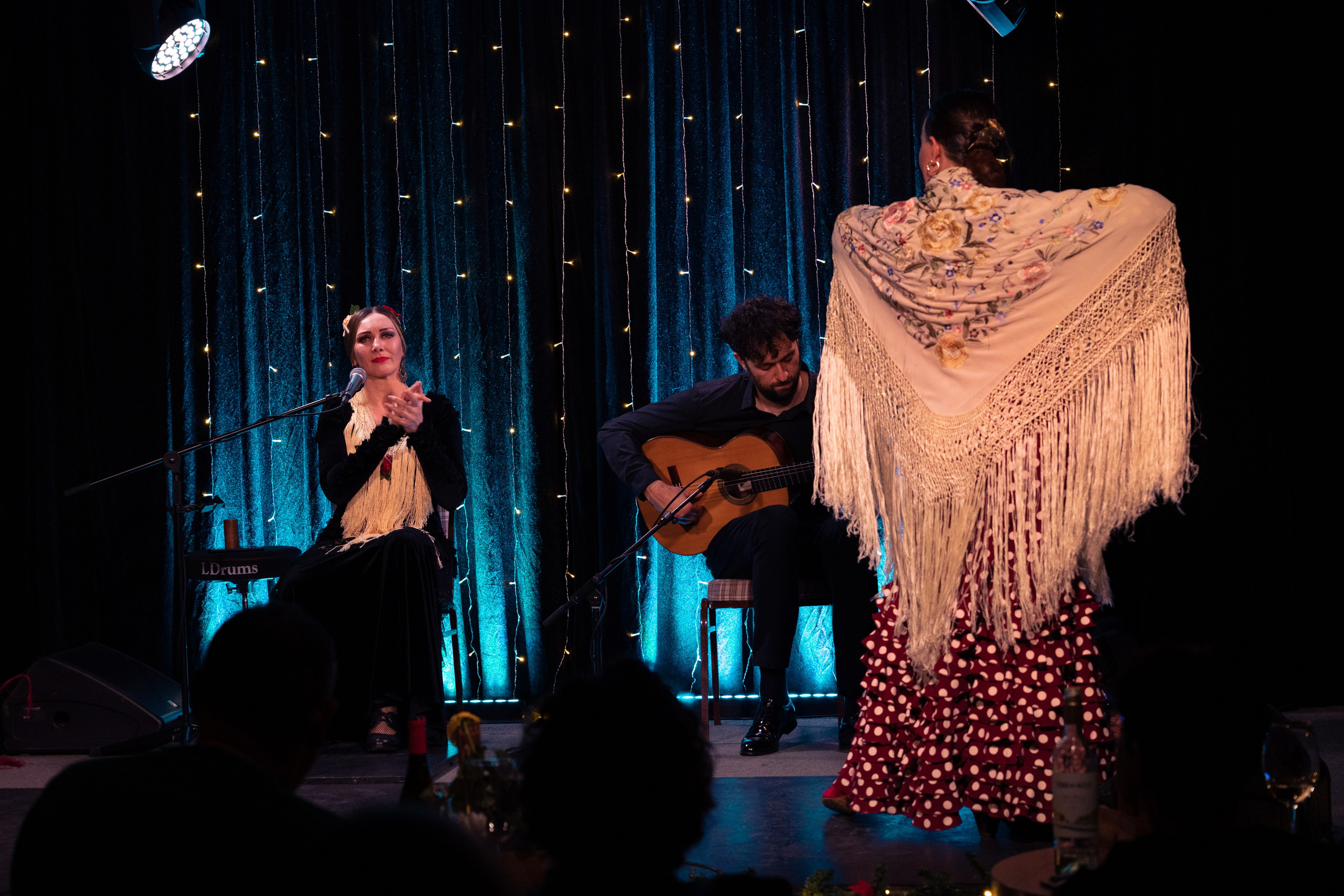 Flamenco 02.01.2025. Индивидуальные съемки, портретный фотограф