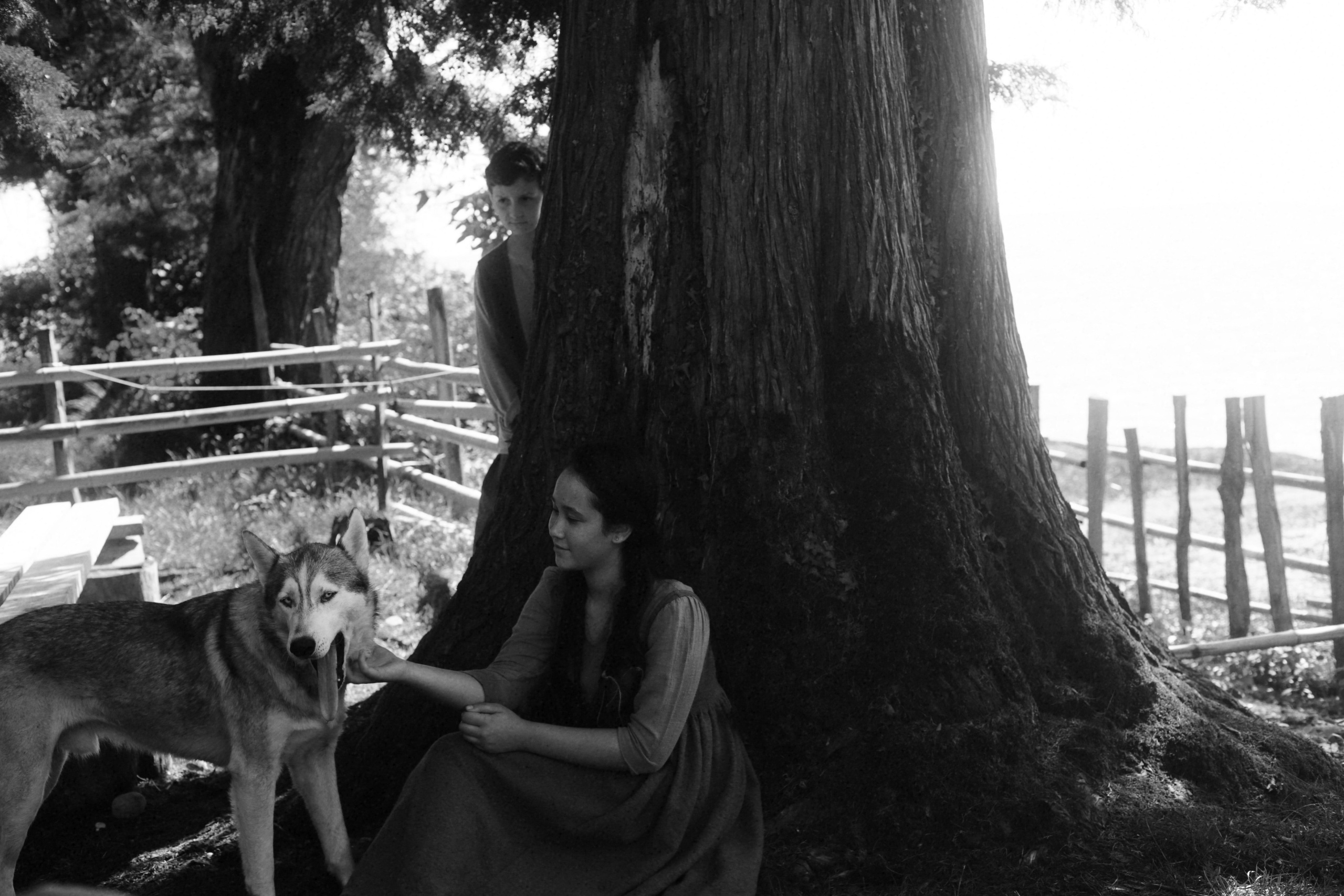 Кинематографическая съемка. Старик и дети. Ekaterina Beridze