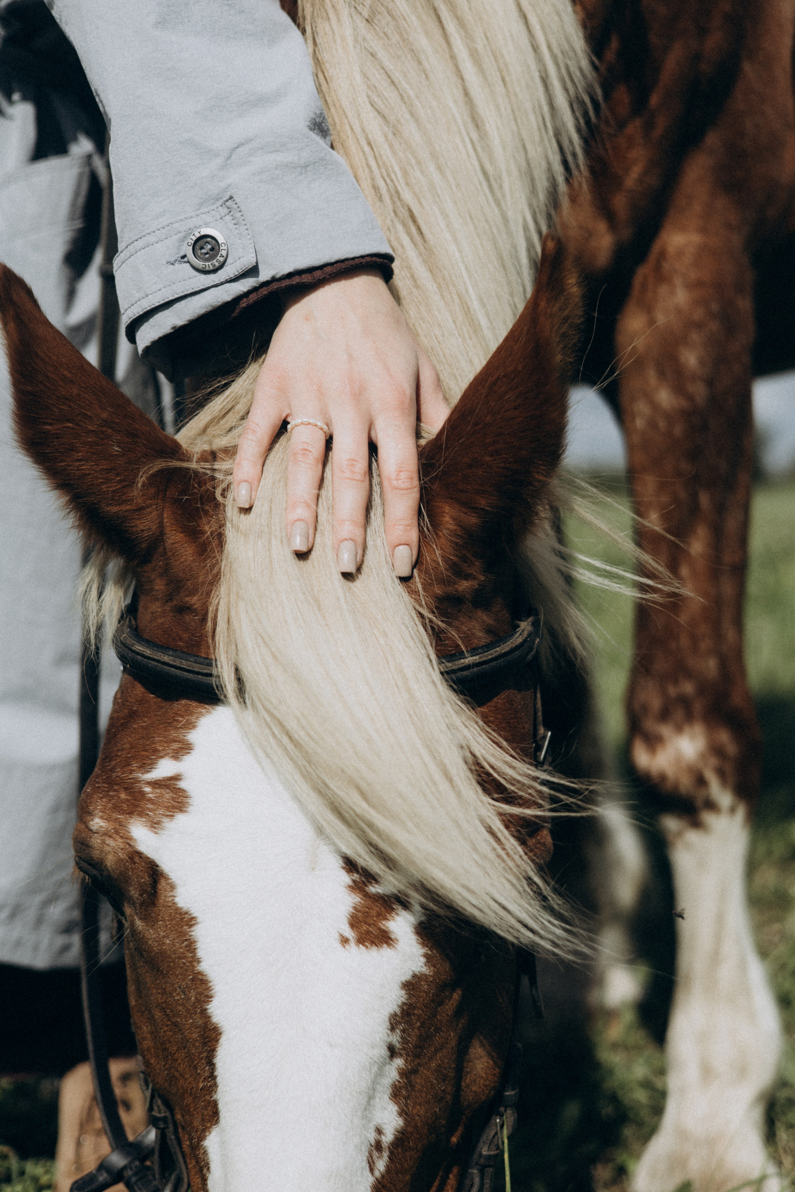 История любви девушки и лошади. Главная