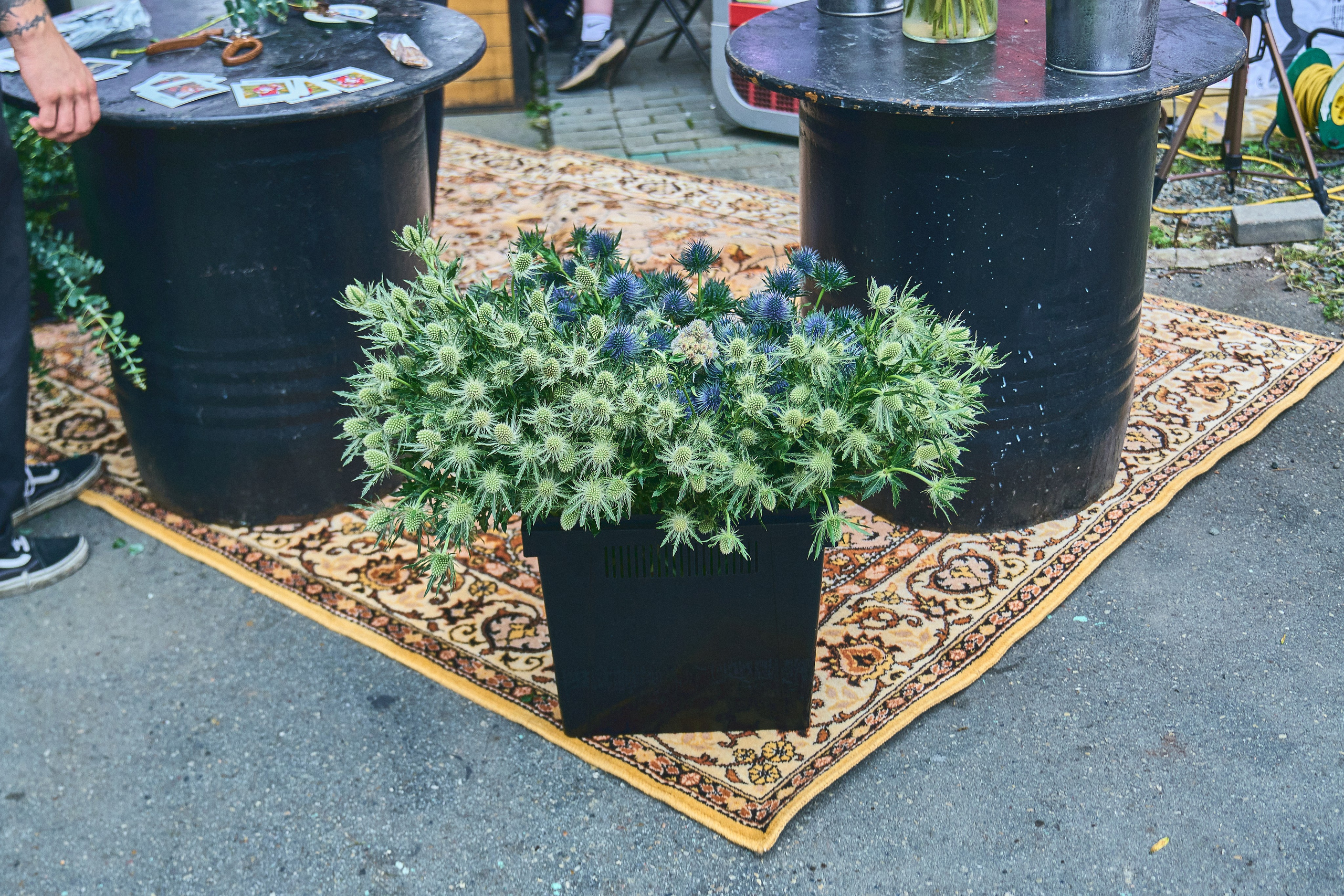 Asian Night Market. Фотограф во Владивостоке