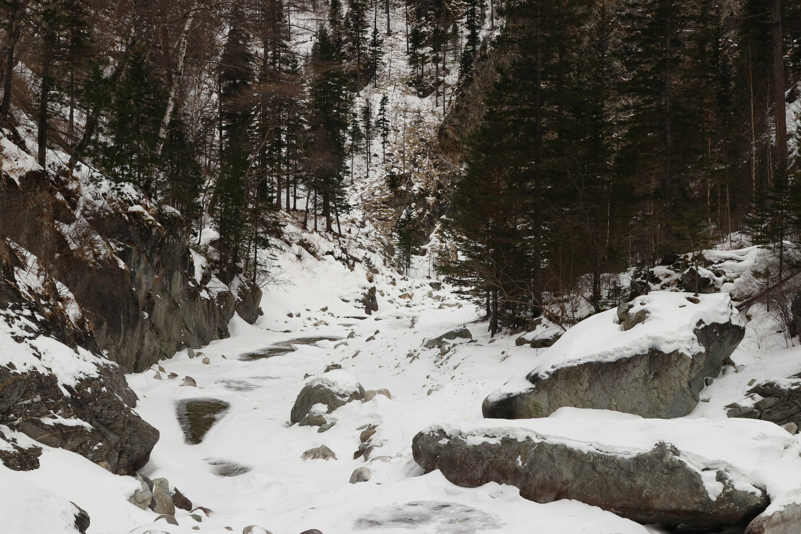 Аршан. Февраль 2025. Путешественник-фотограф из Санкт-Петербурга Татьяна Свистулина