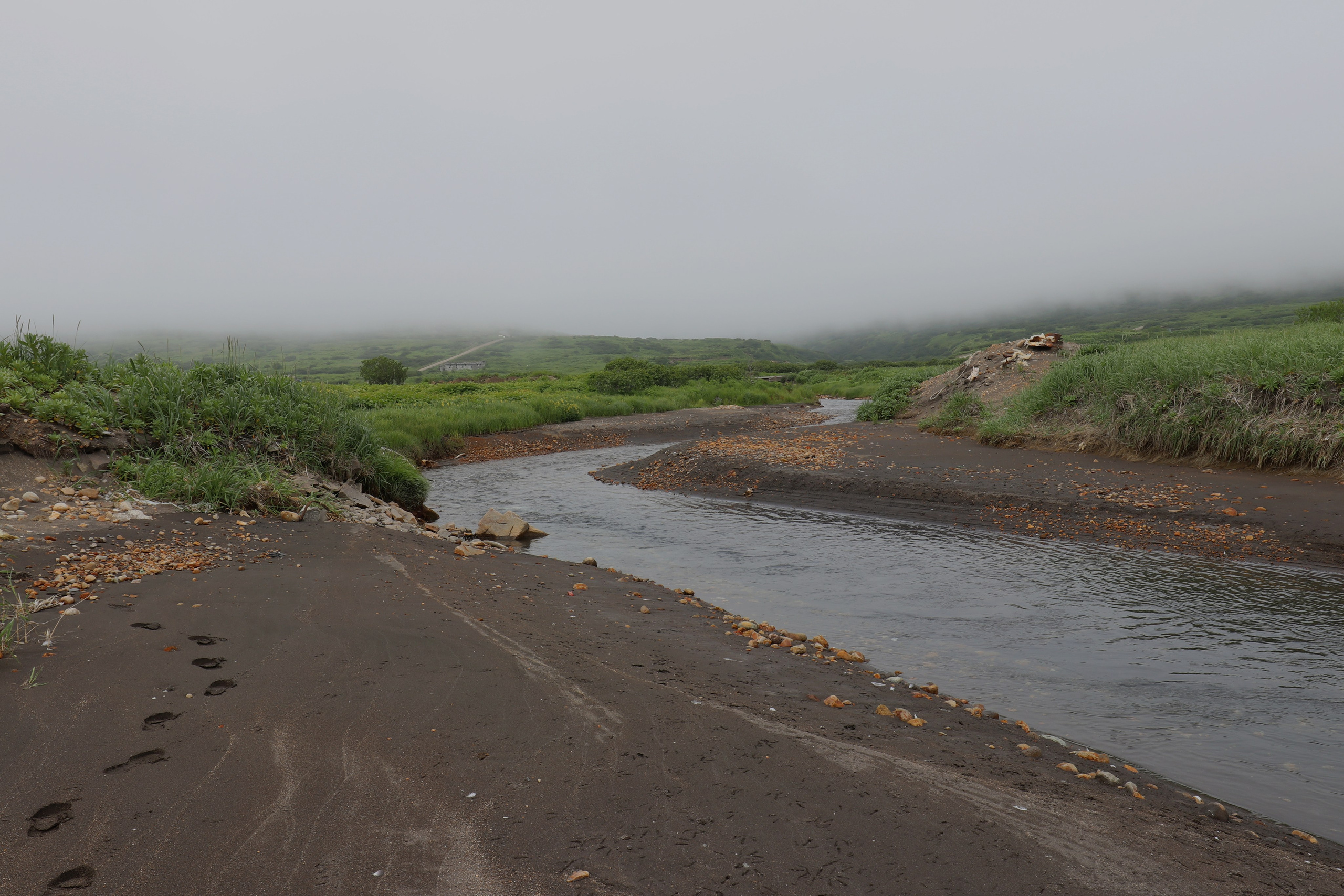 Камчатка и о. Парамушир. Июль 2024. Путешественник-фотограф из Санкт-Петербурга Татьяна Свистулина