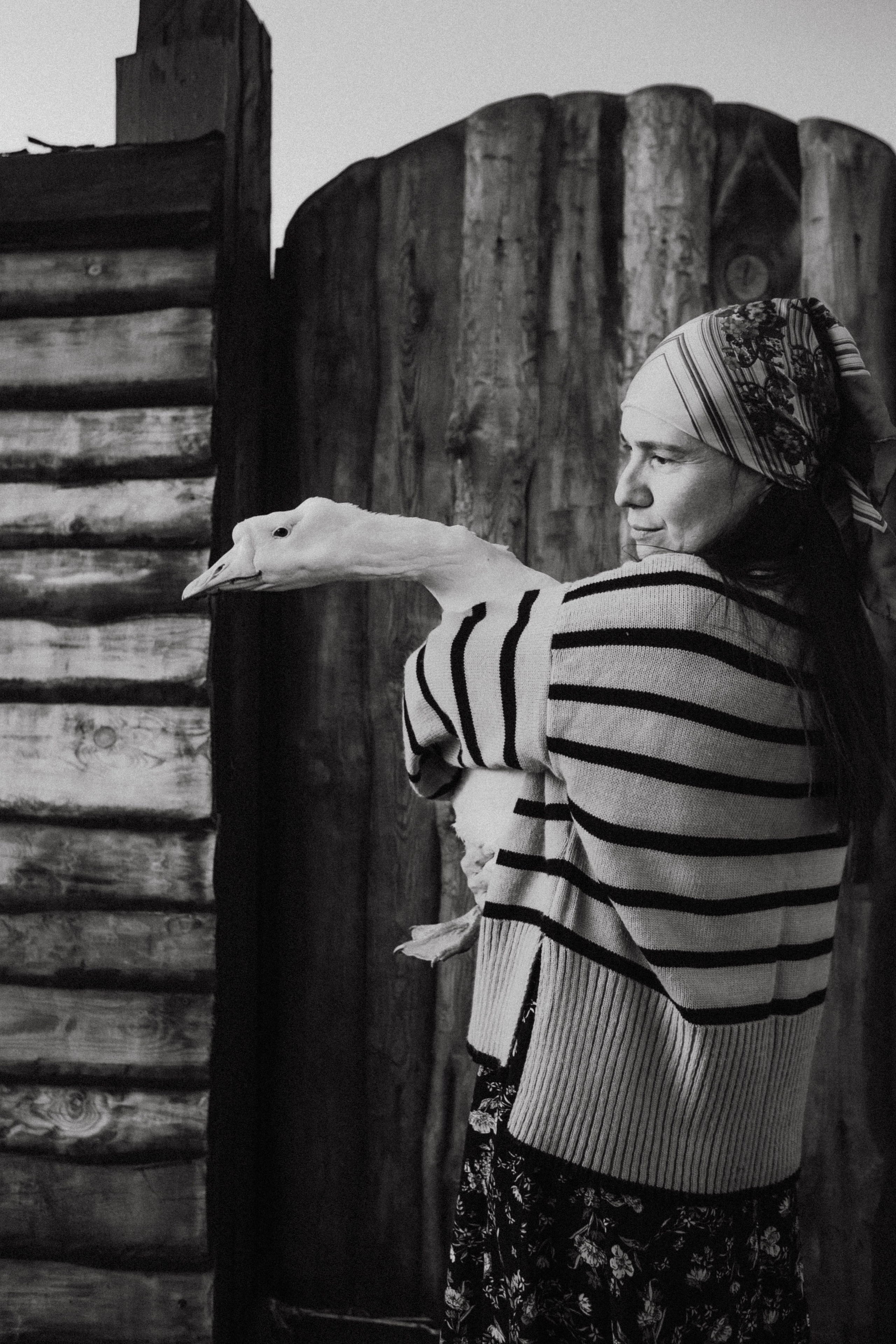 Варвара. Лошади. Закат. Фотограф в Нижнем Новгороде