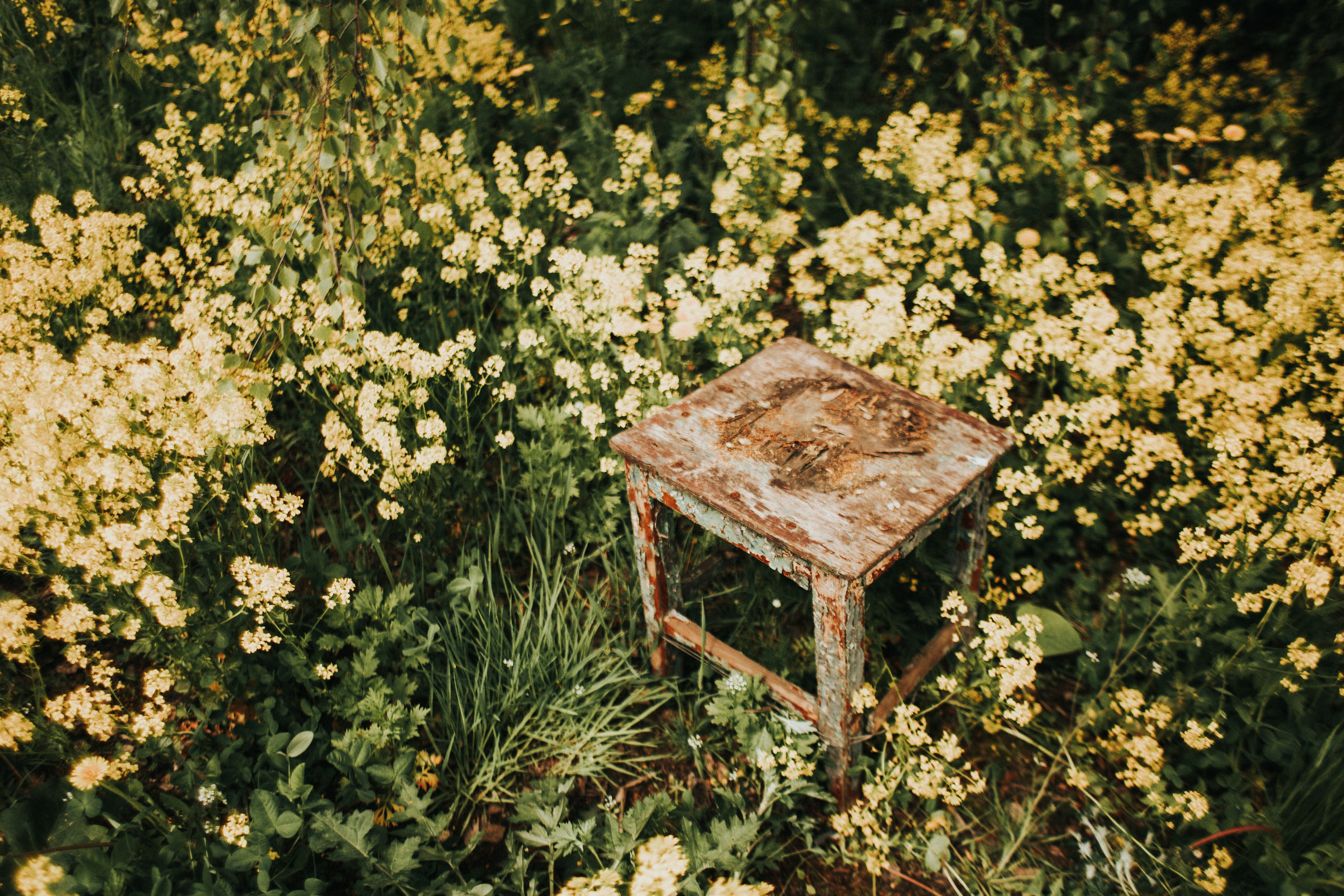Вера. Заправка. Фотограф в Нижнем Новгороде