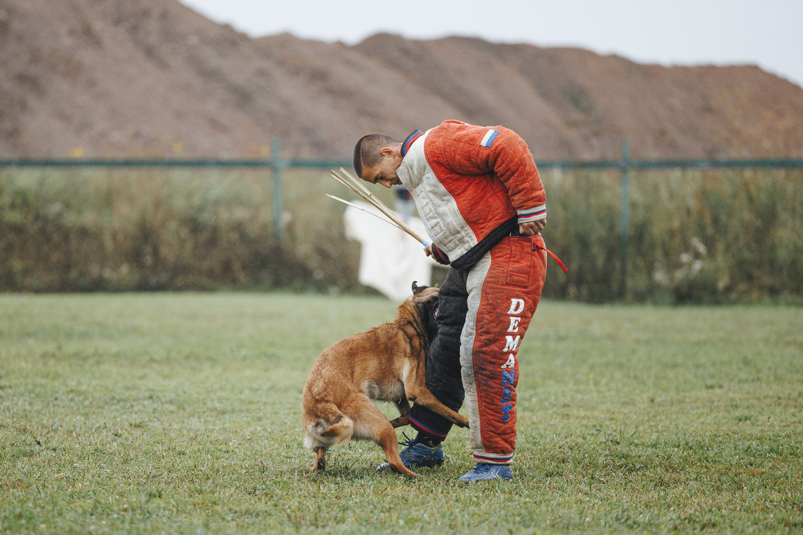 08.08.25-10.08.25 ЧР по мондьорингу г. Вологда. Фотограф-анималист Анна Маринич