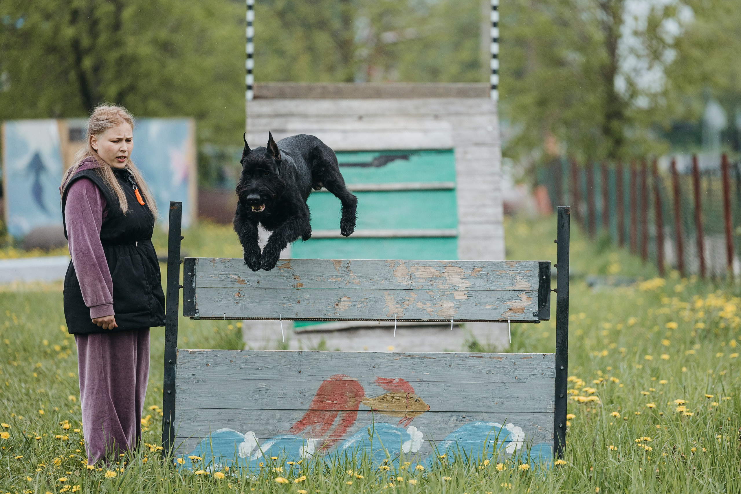 26.05.25 г. Пушкин квалификационные соревнования. Фотограф-анималист Анна Маринич