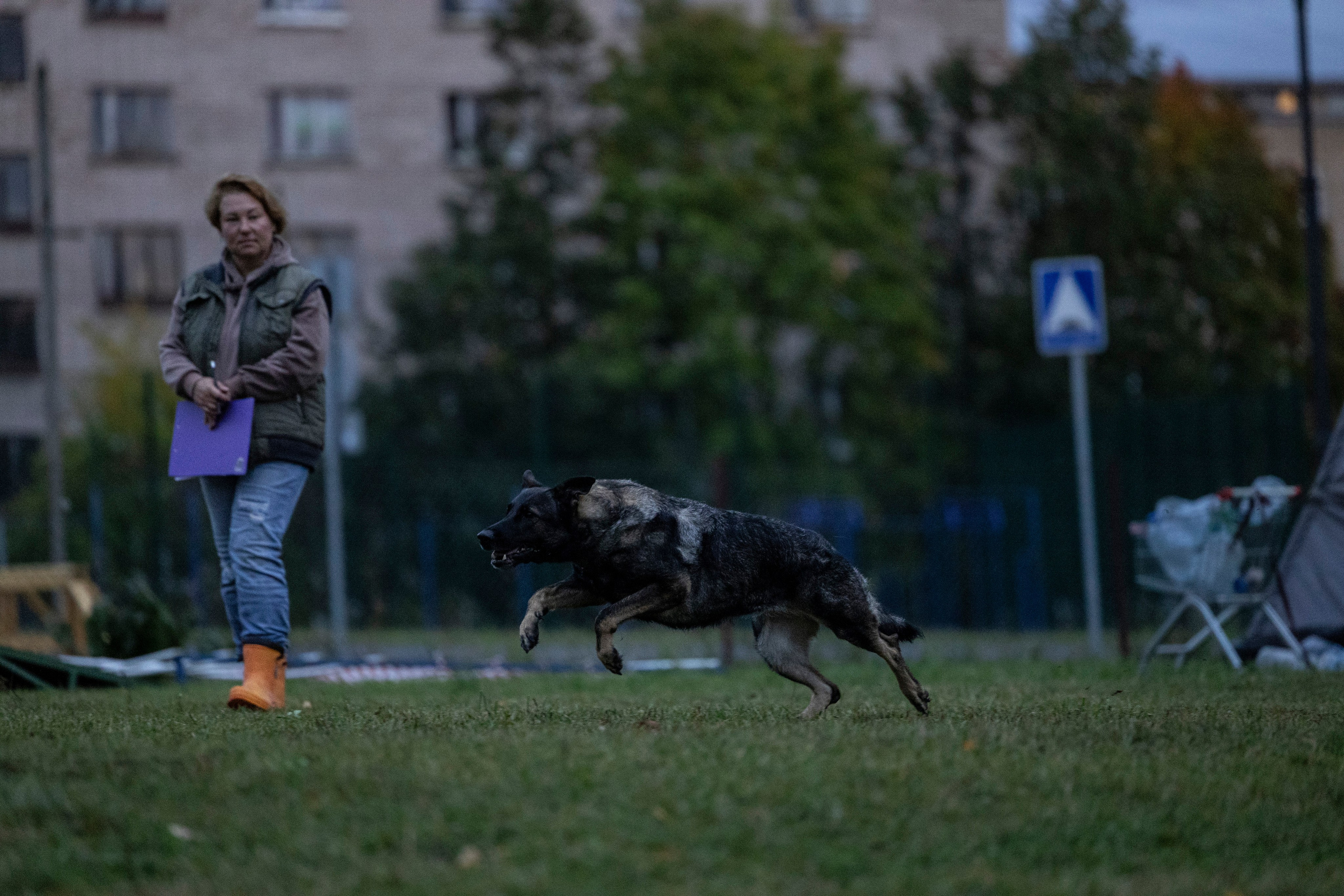 Испытания по Мондьорингу г. Пушкин. Фотограф-анималист Анна Маринич