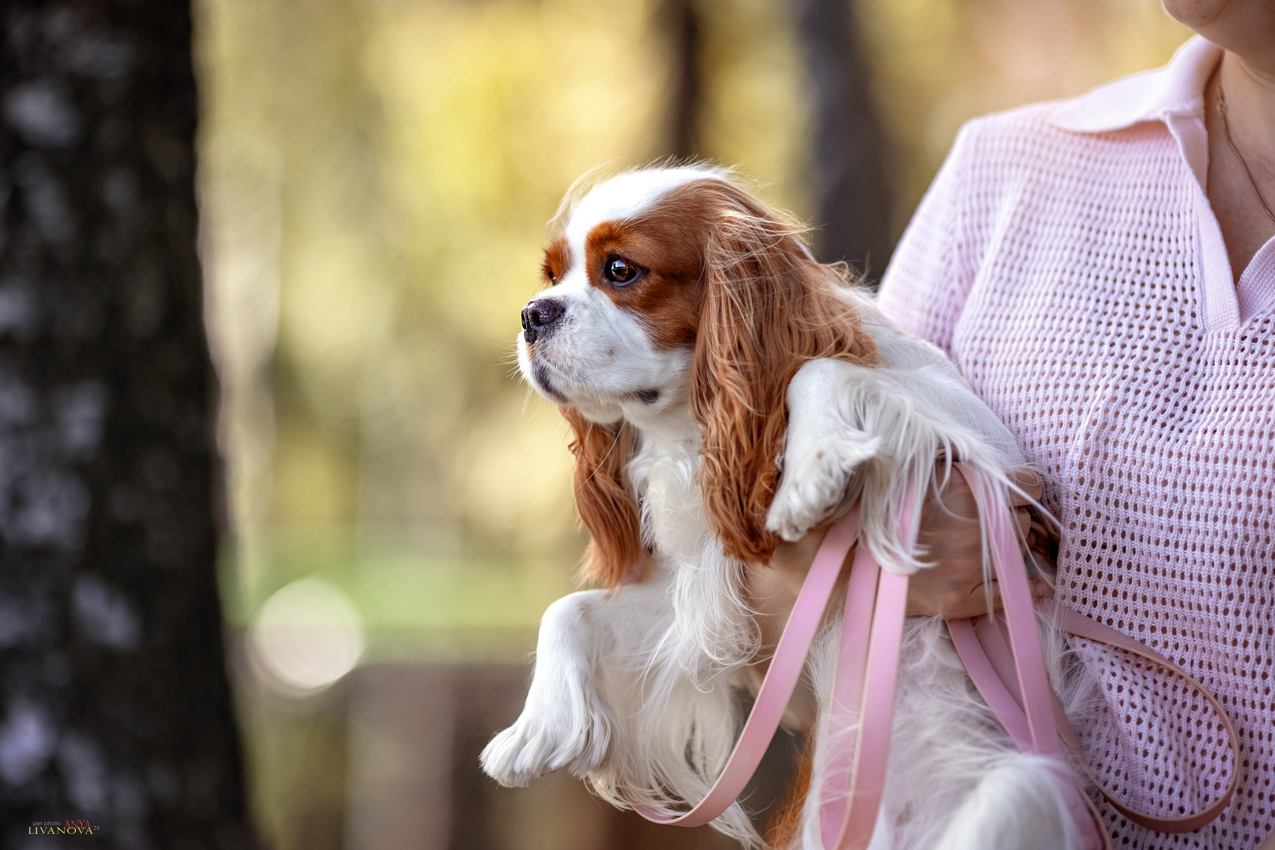Аня и Миля. Фотограф анималист Аня Ливанова | Рыбинск