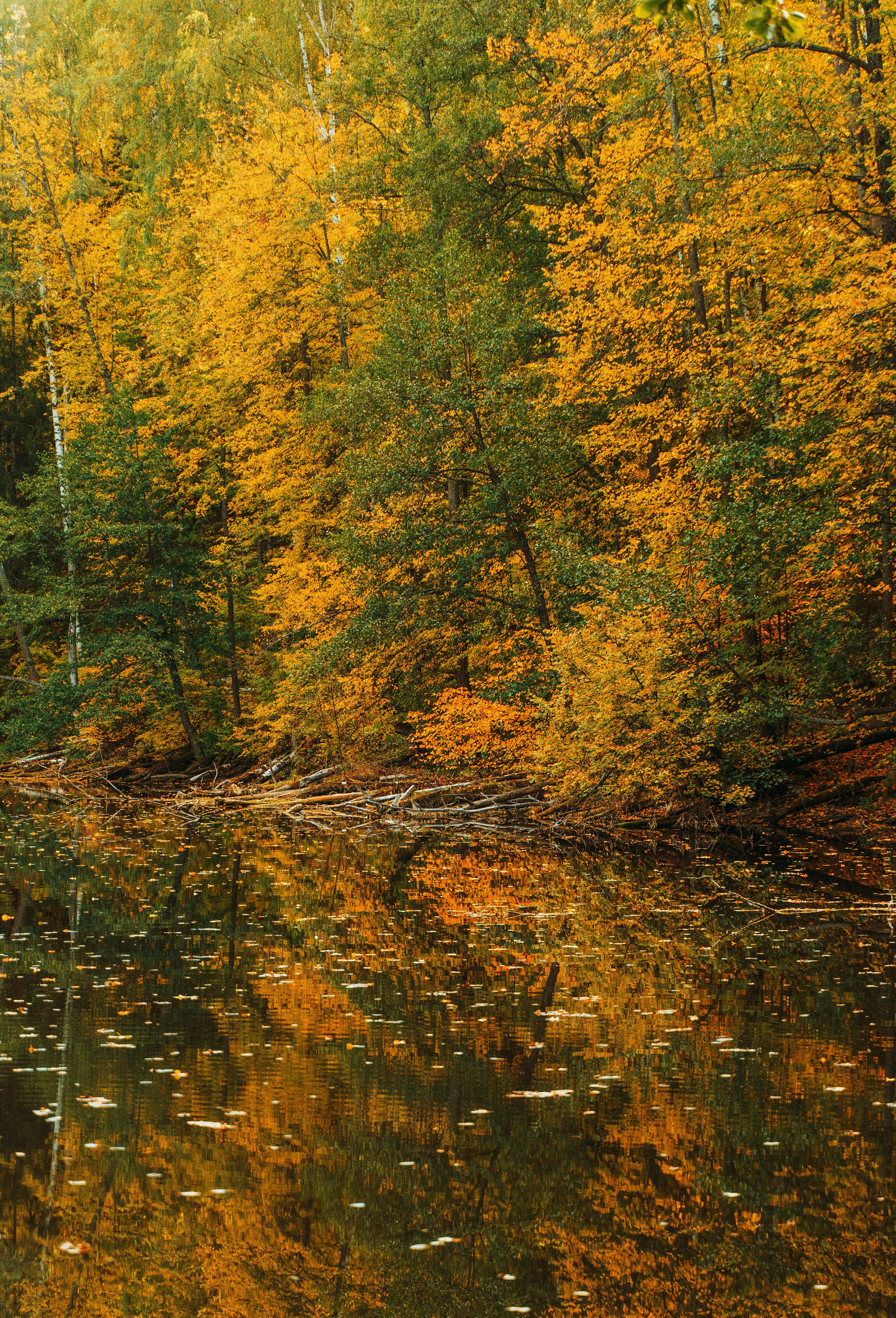 Good Friends Trip / команда локальных путешествий. Саша Копылов, фотограф в Казани