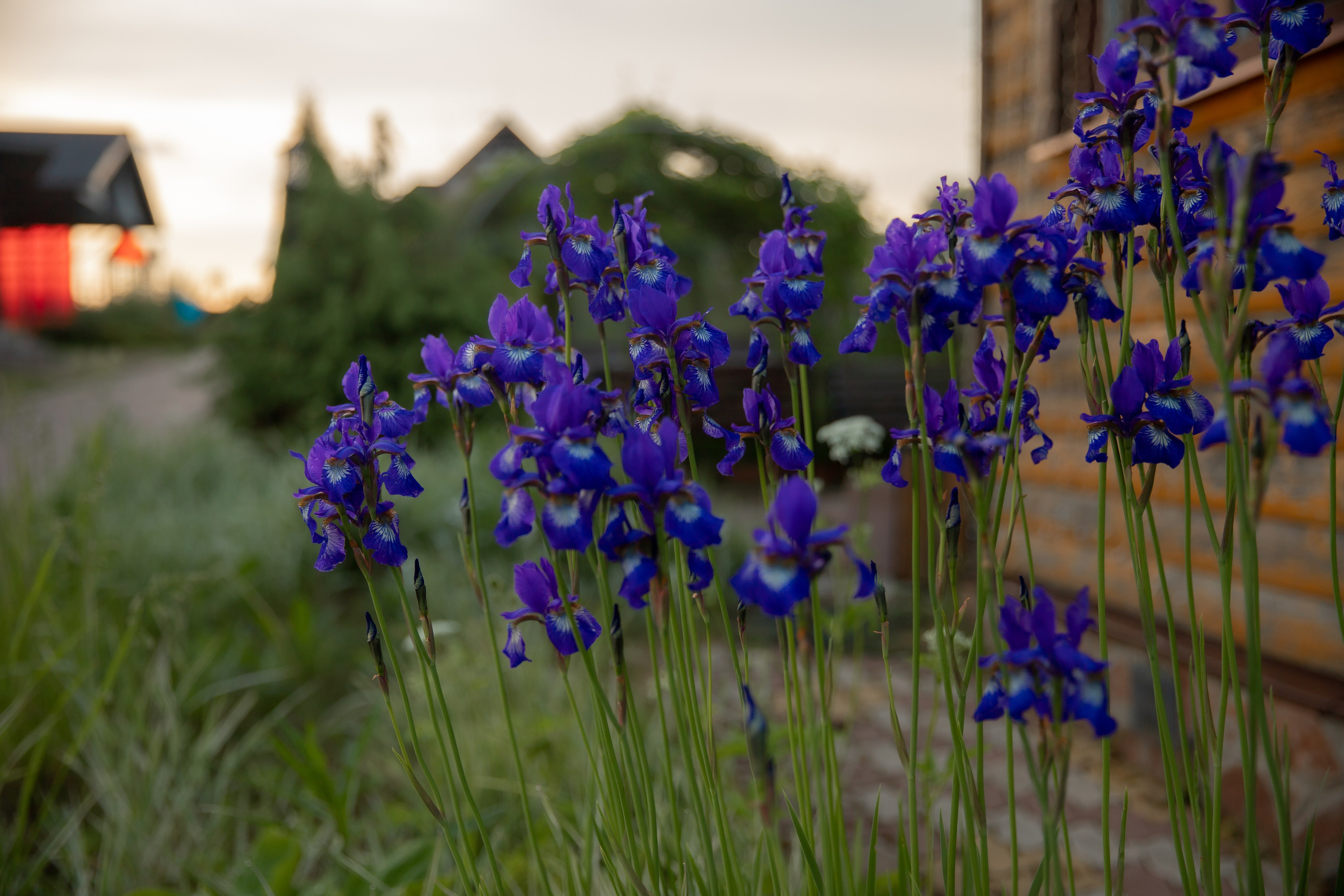 База отдыха в Тверской области. Территория. Фотограф недвижимости и контент-съемки в СПб