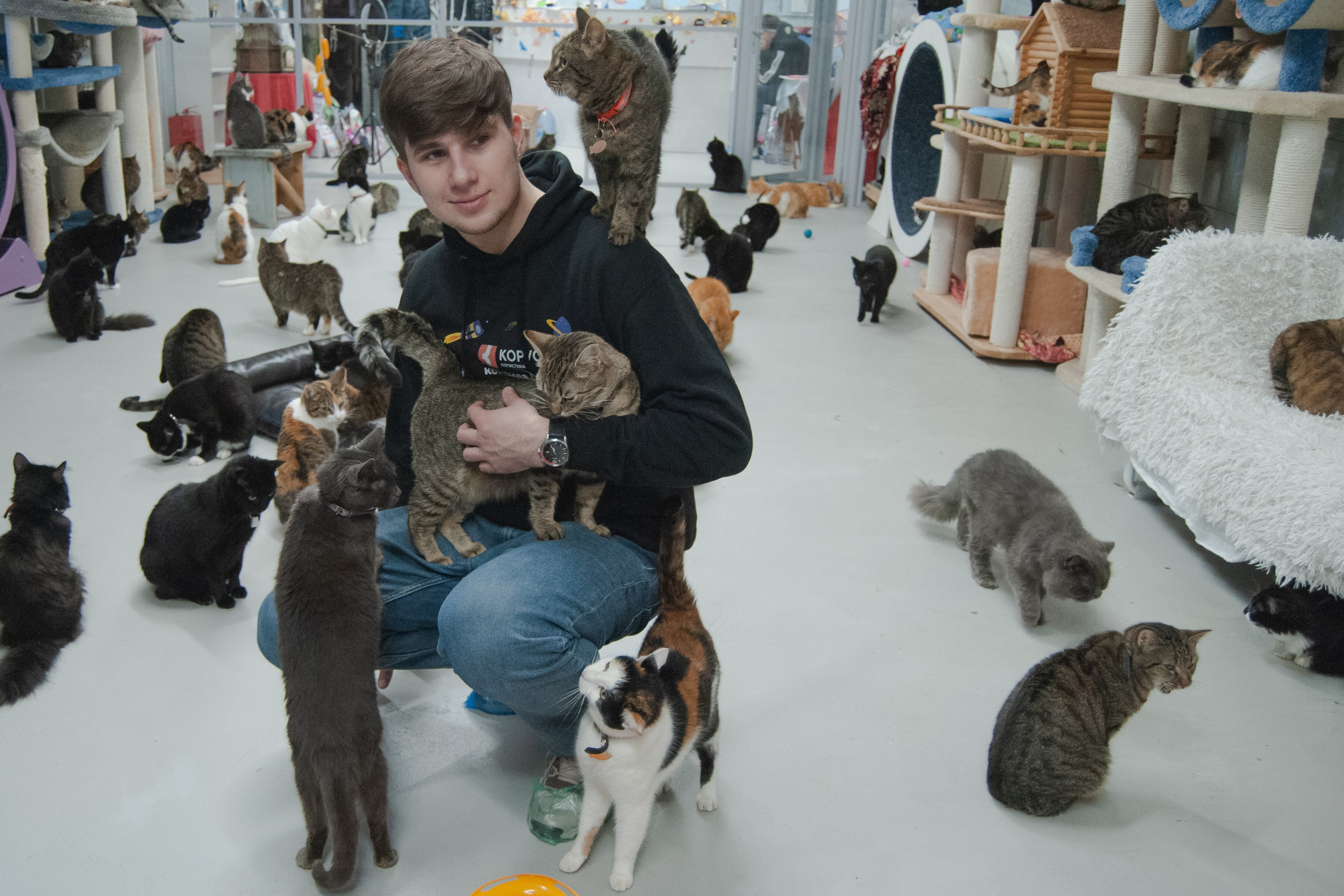 Репортажная съёмка. Главная