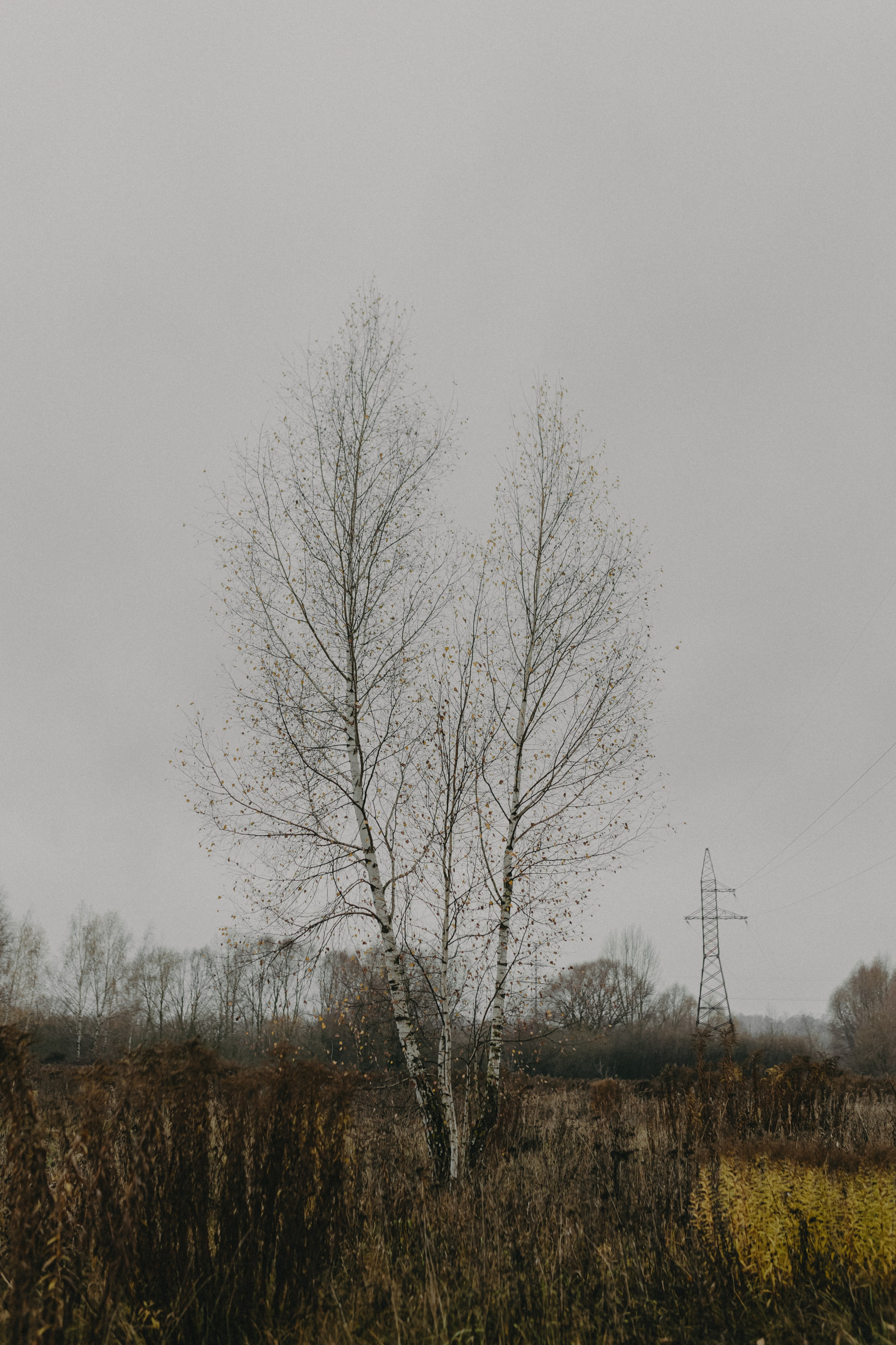 Диана и Антон. Свадебный и семейный фотограф Женя Добрянская в Нижнем Новгороде