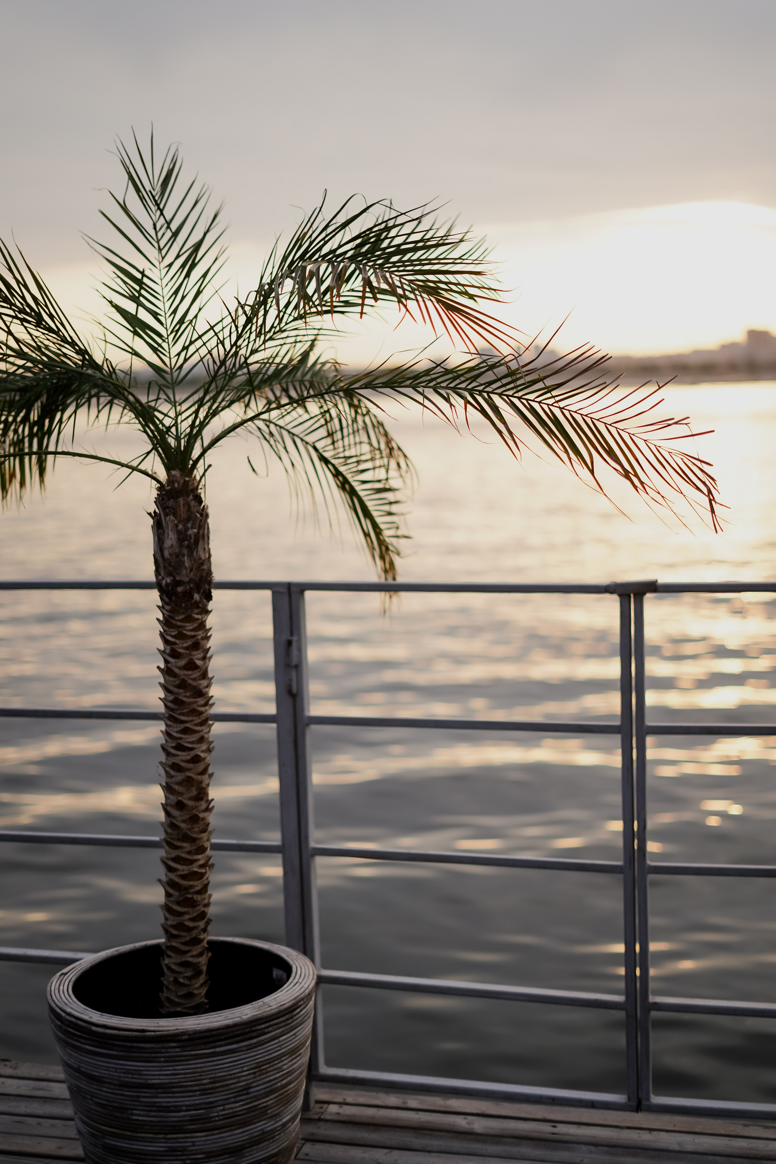 Surf. Фотограф Валерия Крахмалева