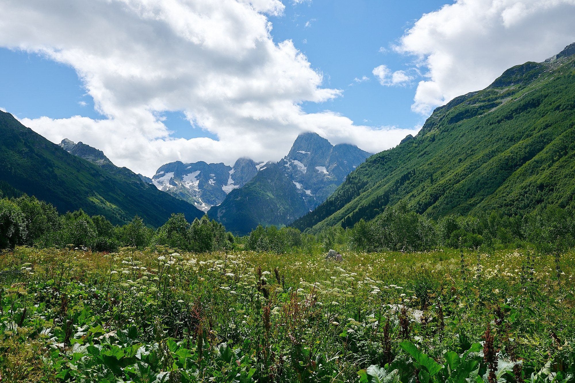 Домбай август 2024. Фотографии отовсюду и обо всем