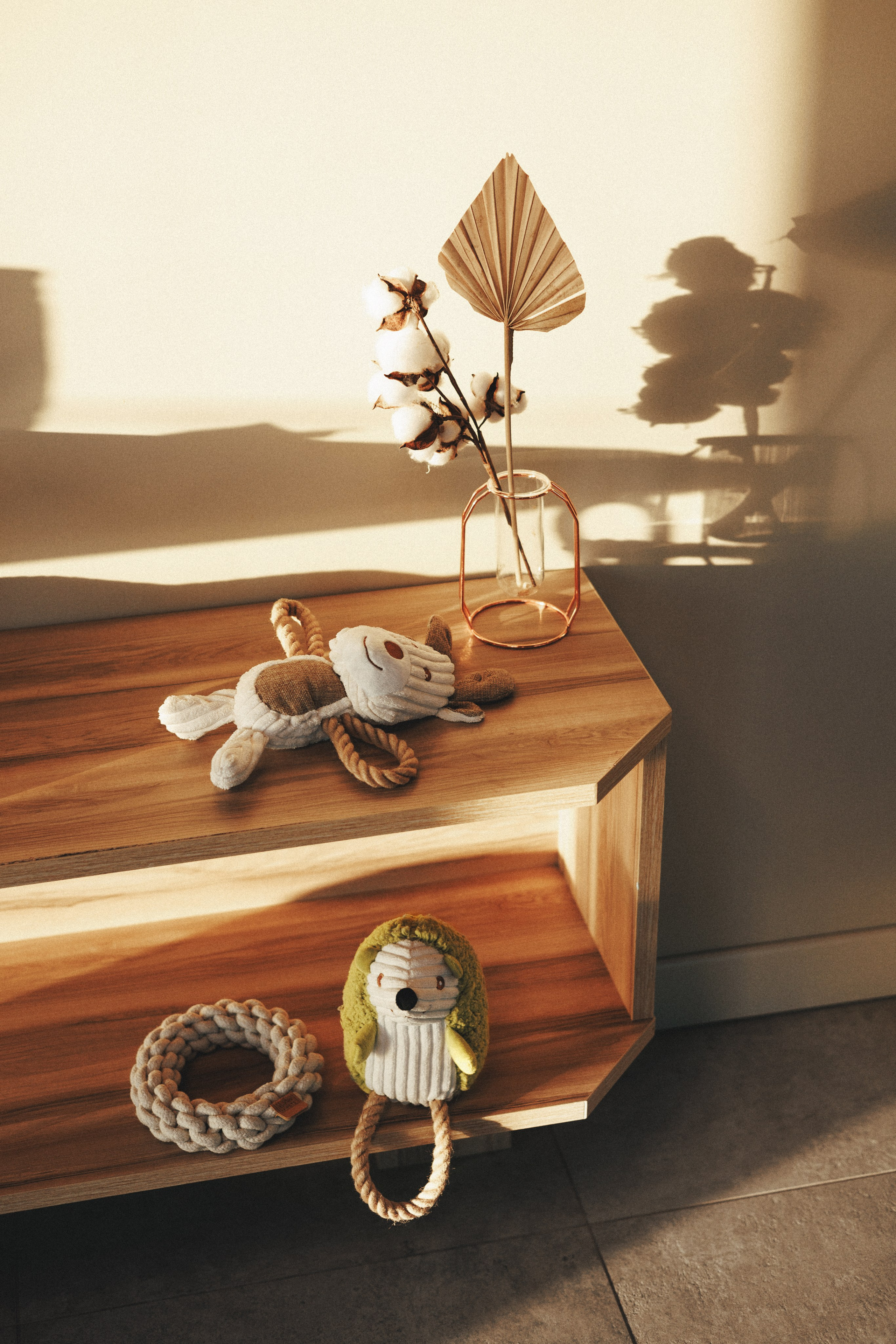 M-Pets. Фотограф анималист Осипчикова Мария