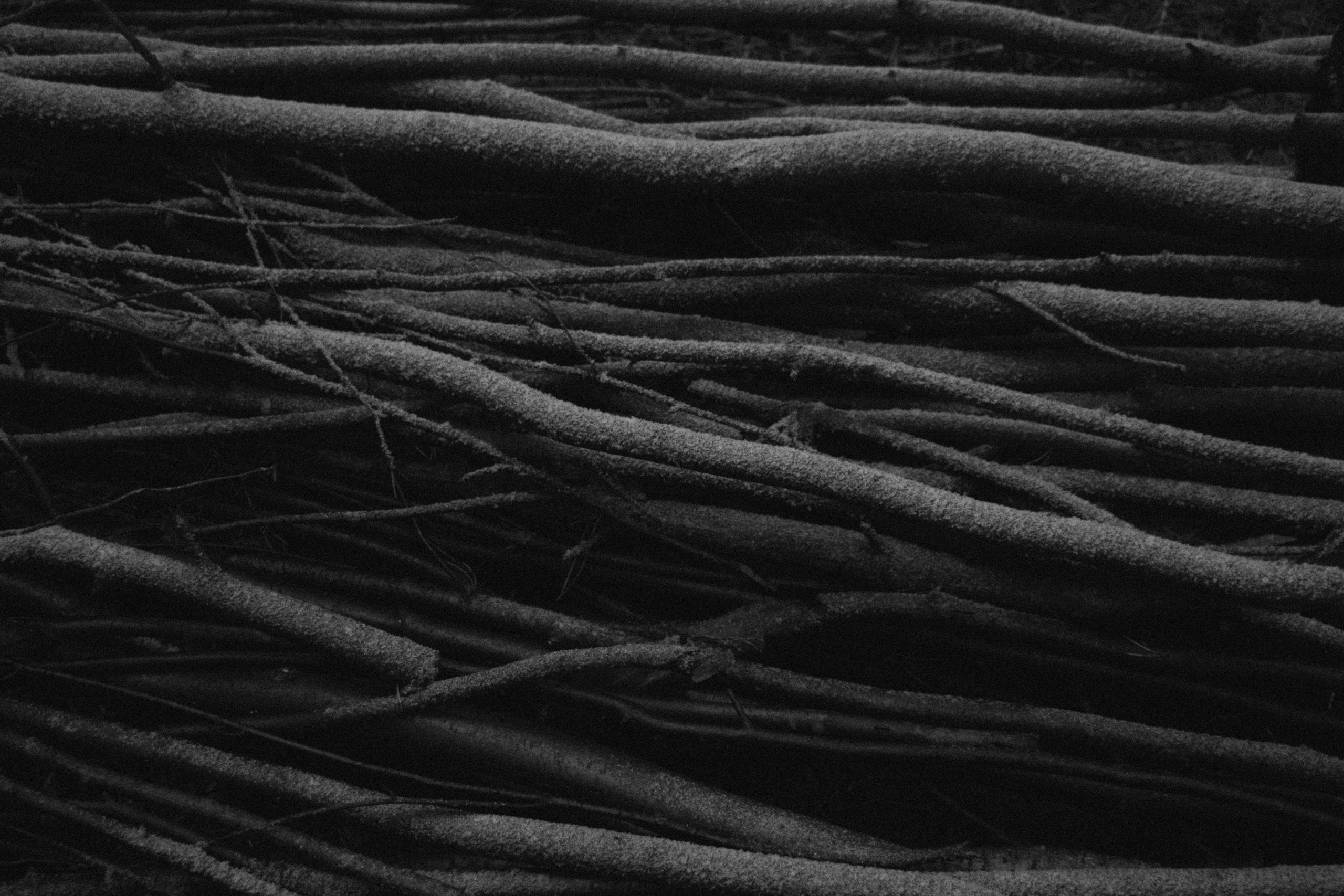 Интимный пейзаж. Олег Романов. Мастер фото по спорту