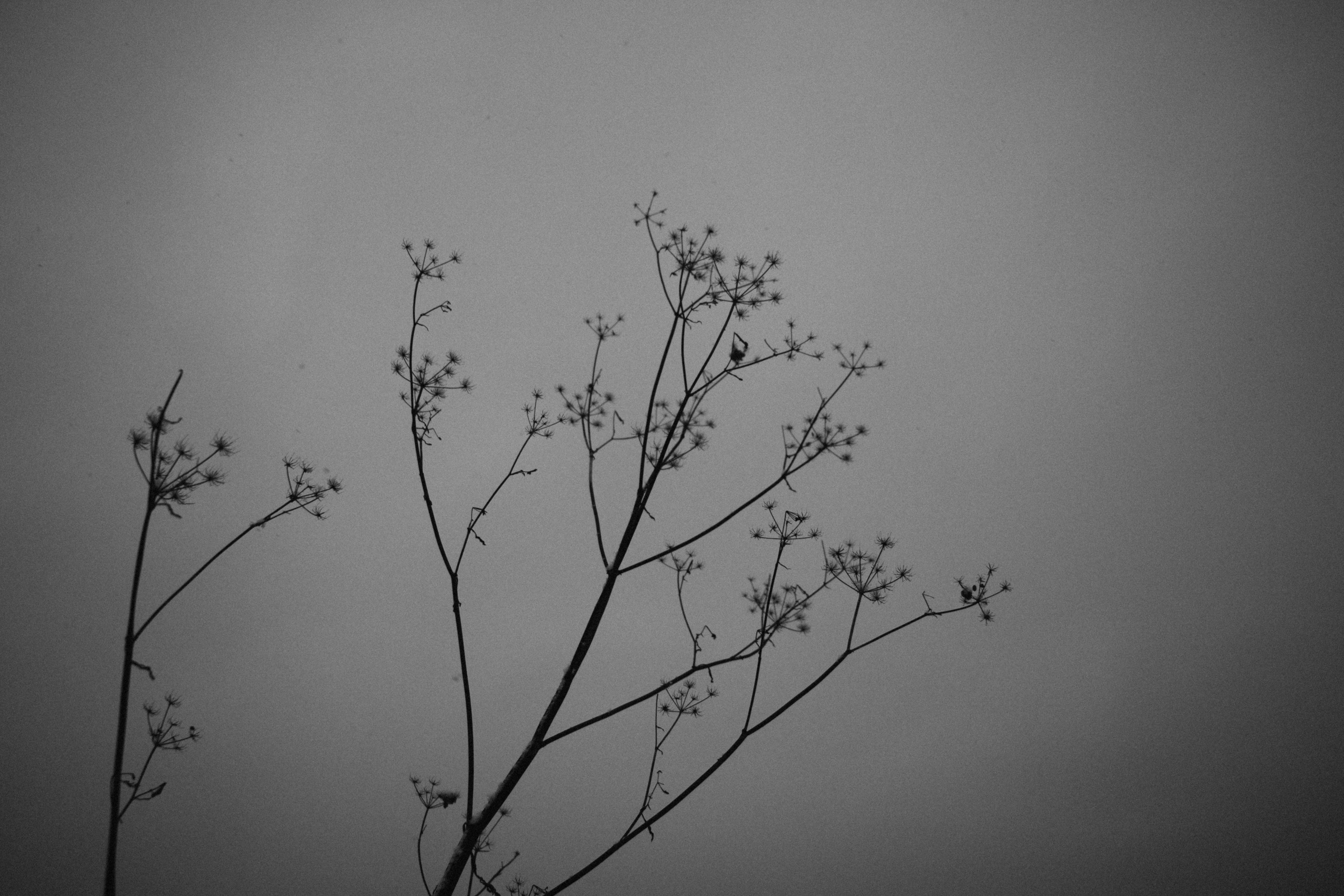 Интимный пейзаж. Олег Романов. Мастер фото по спорту