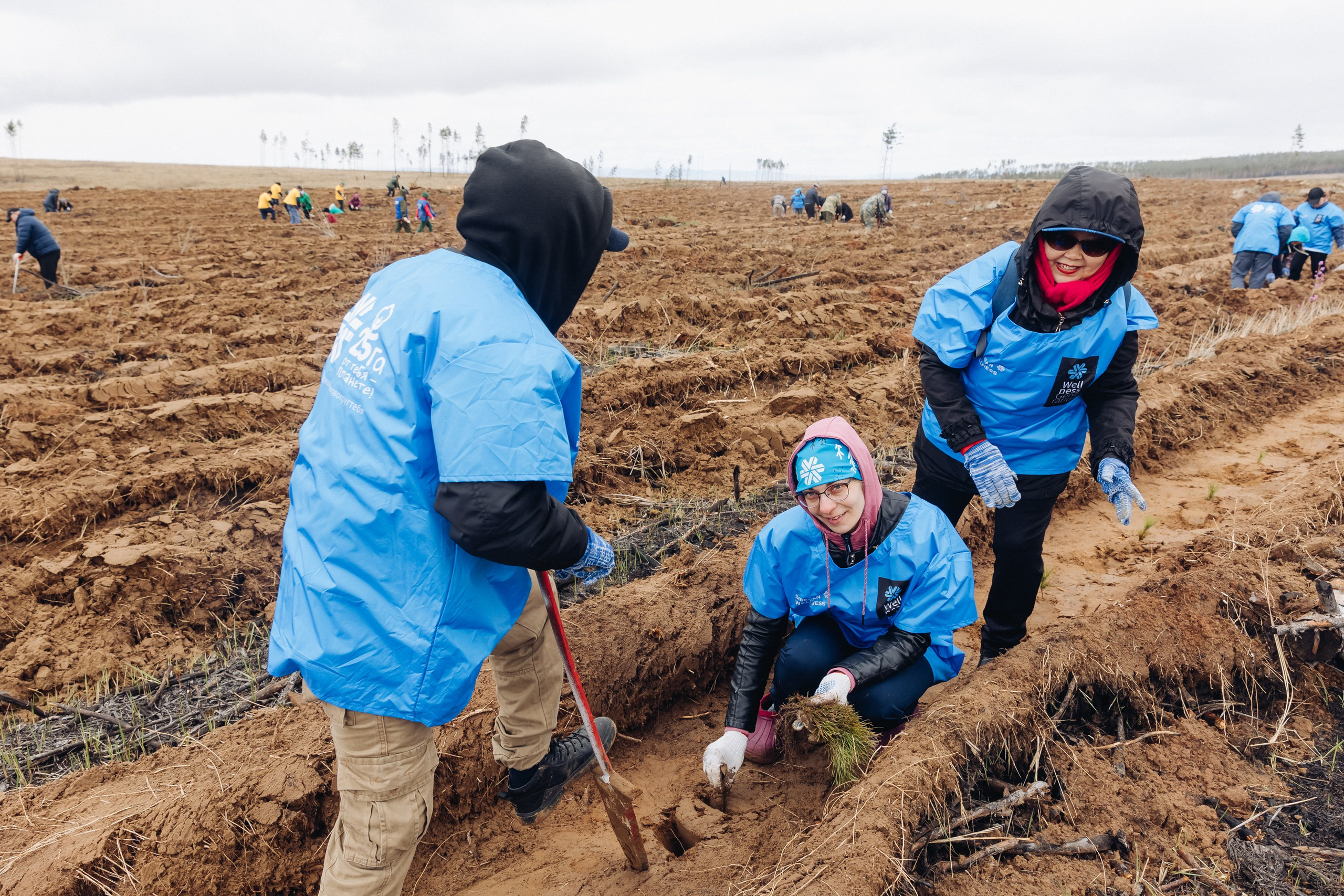 Siberian wellness. Ежегодная акция по посадке деревьев. Свадебный и семейный фотограф в Улан-Удэ