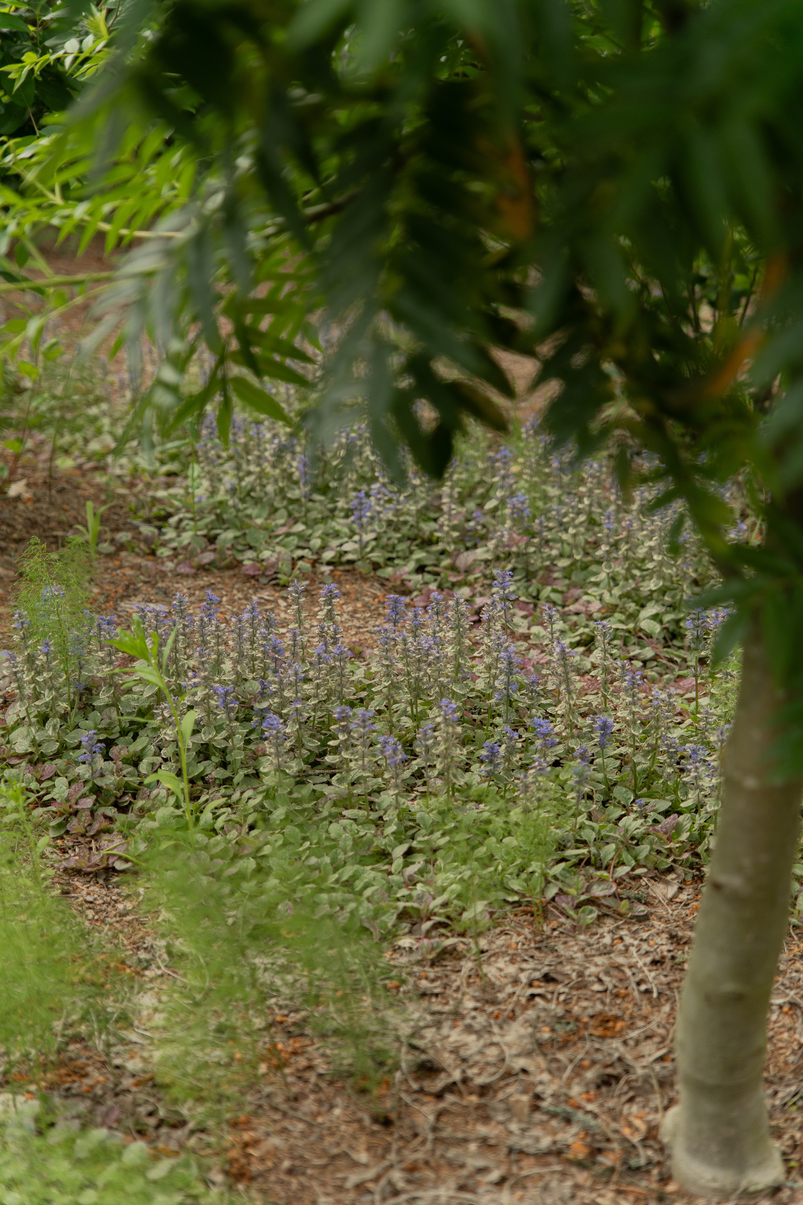 Участок в каральском стиле. Автомобильный фотограф Светлана Усова