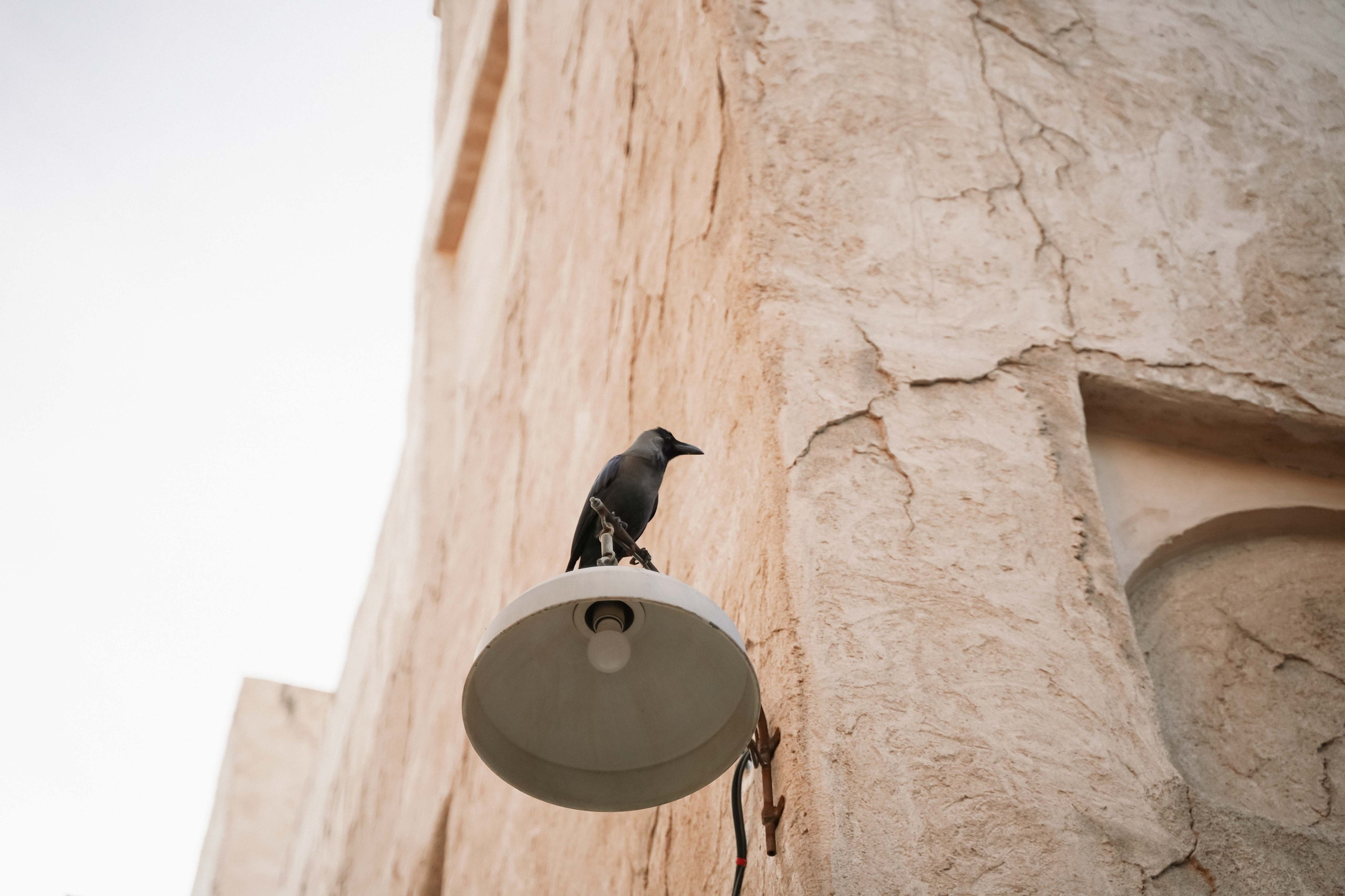 Al seef | старый город | Дубай. Фотограф и видеограф в Москве и Абу Даби Мария Кулагина