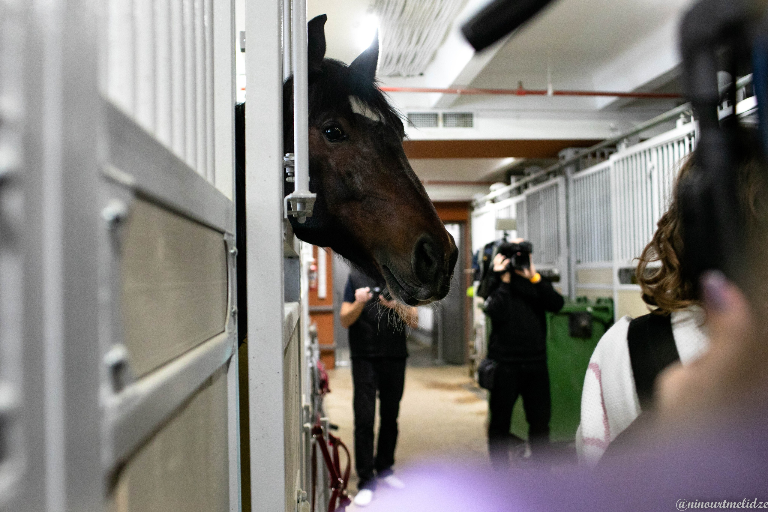 В закулисье у братьев Запашных. Art photographer Nino