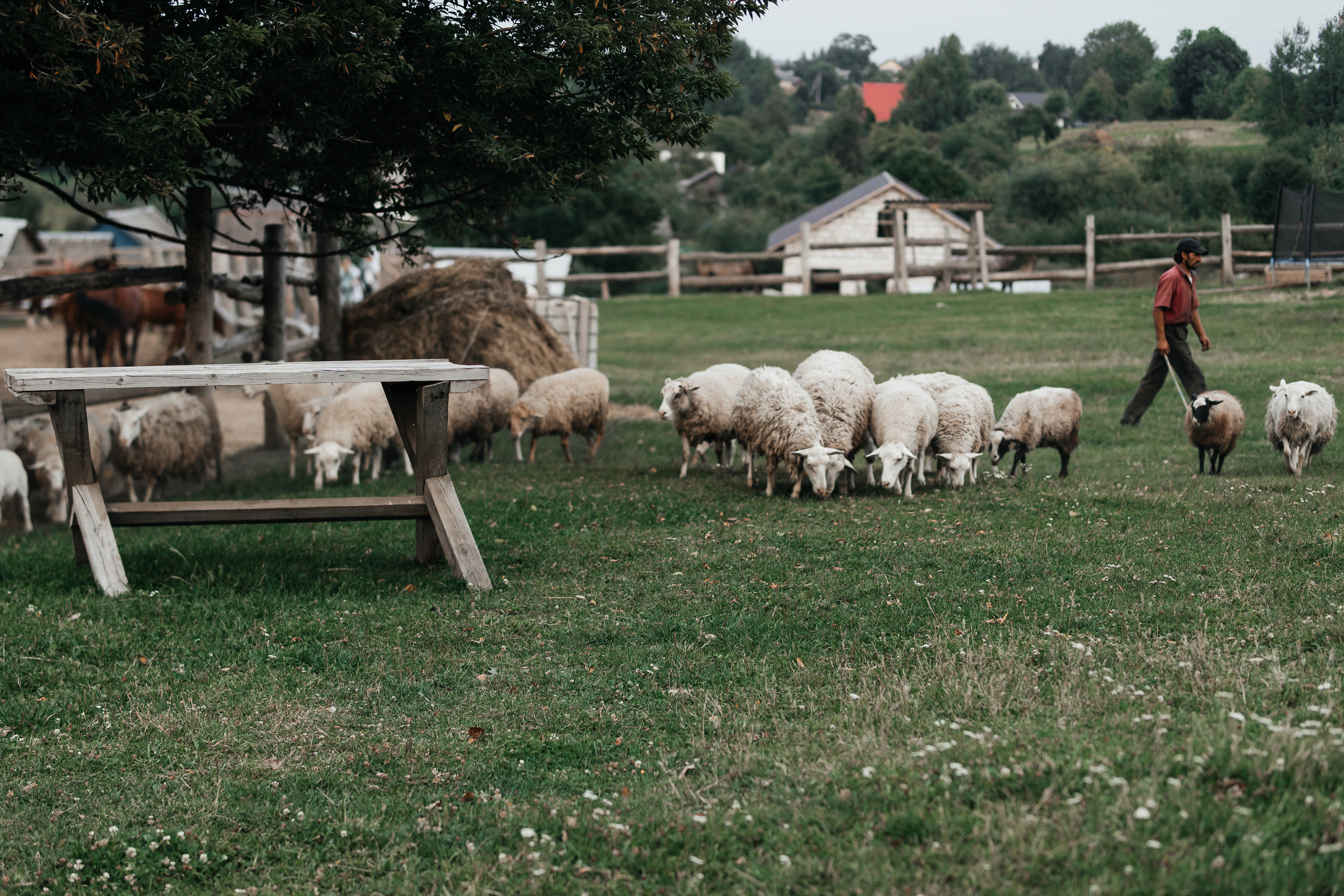 Просто безумная любовь. Polovinka.Photo — Свадебный и семейный фотограф Минск