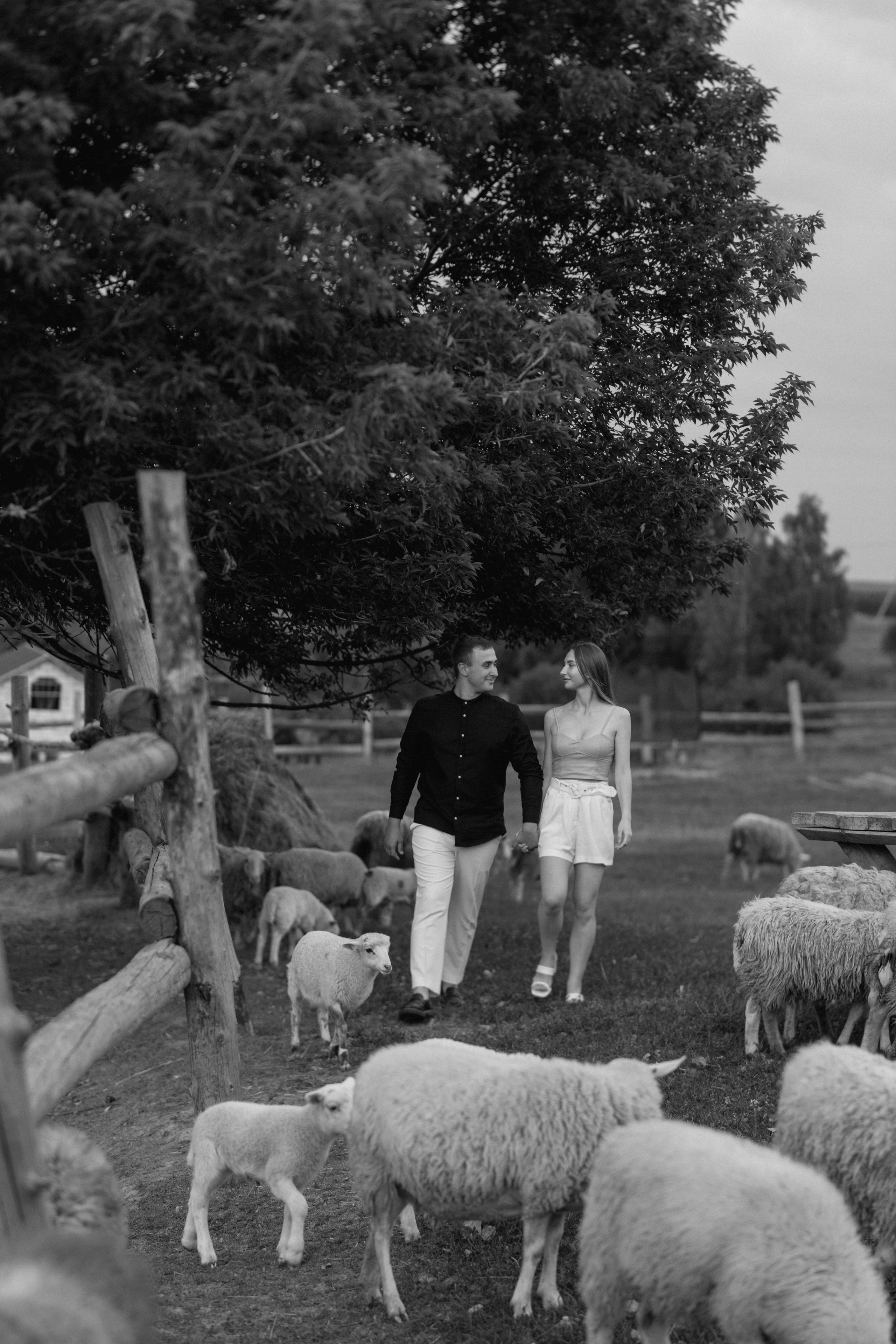 Просто безумная любовь. Polovinka.Photo — Свадебный и семейный фотограф Минск