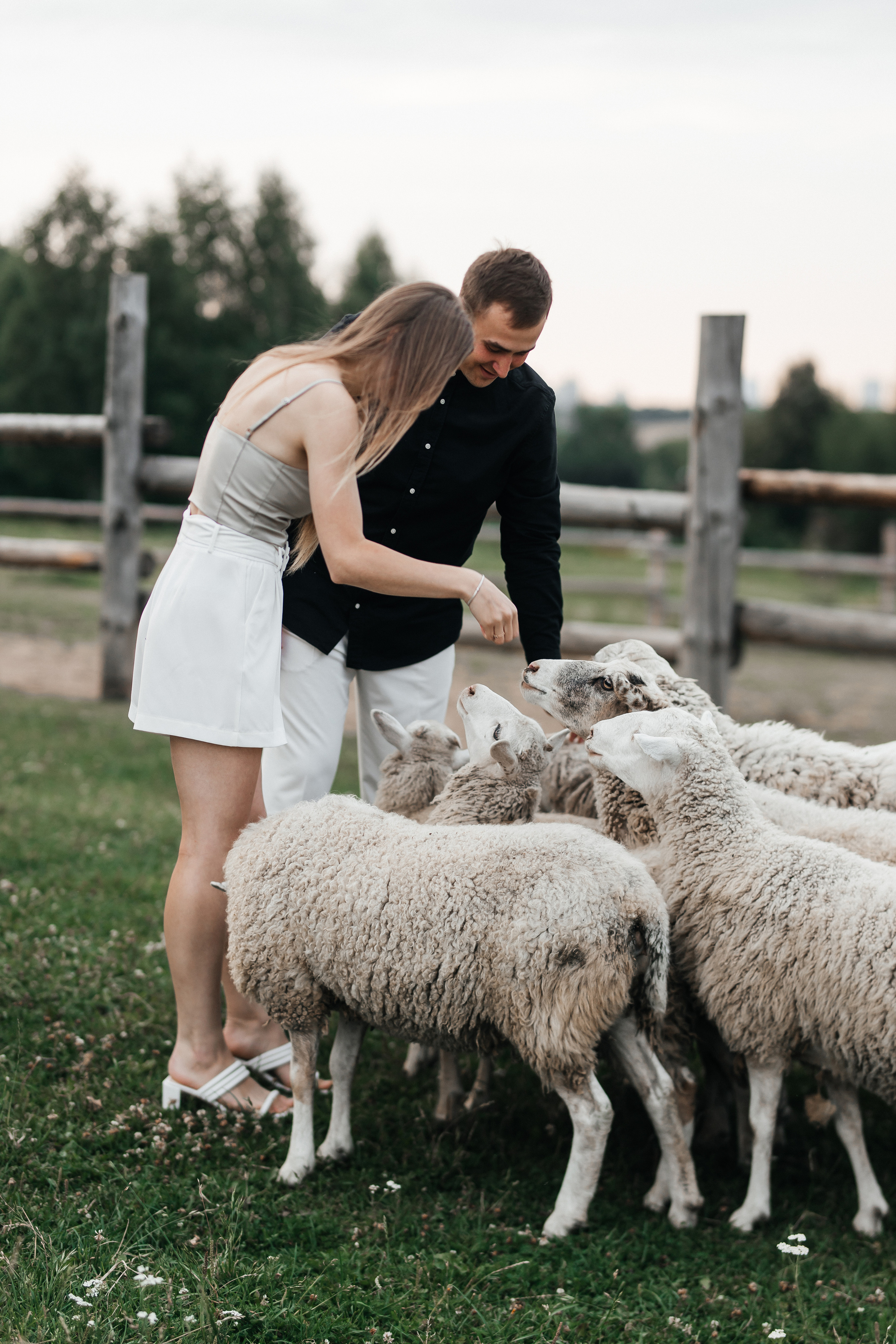 Просто безумная любовь. Polovinka.Photo — Свадебный и семейный фотограф Минск