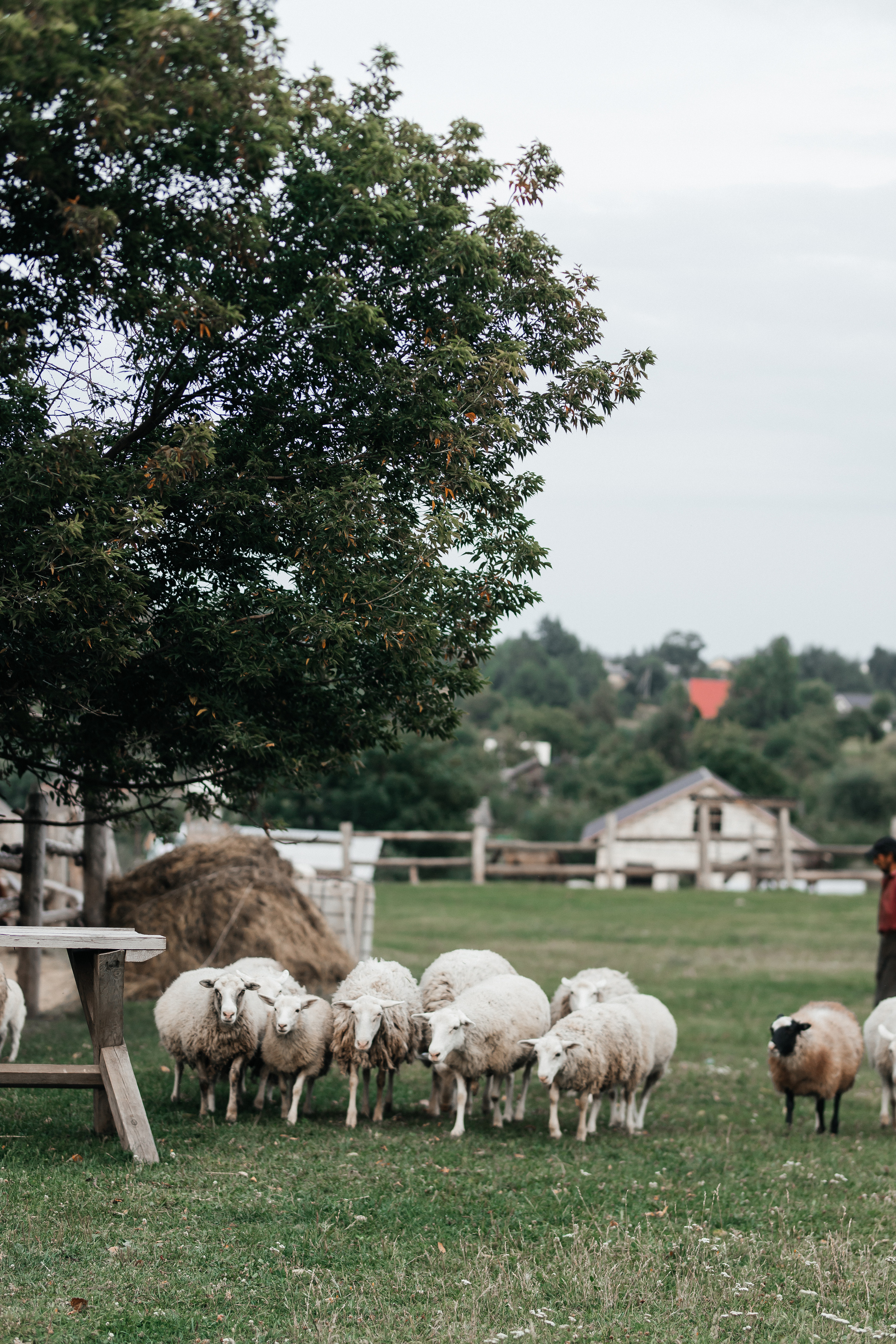 Просто безумная любовь. Polovinka.Photo — Свадебный и семейный фотограф Минск