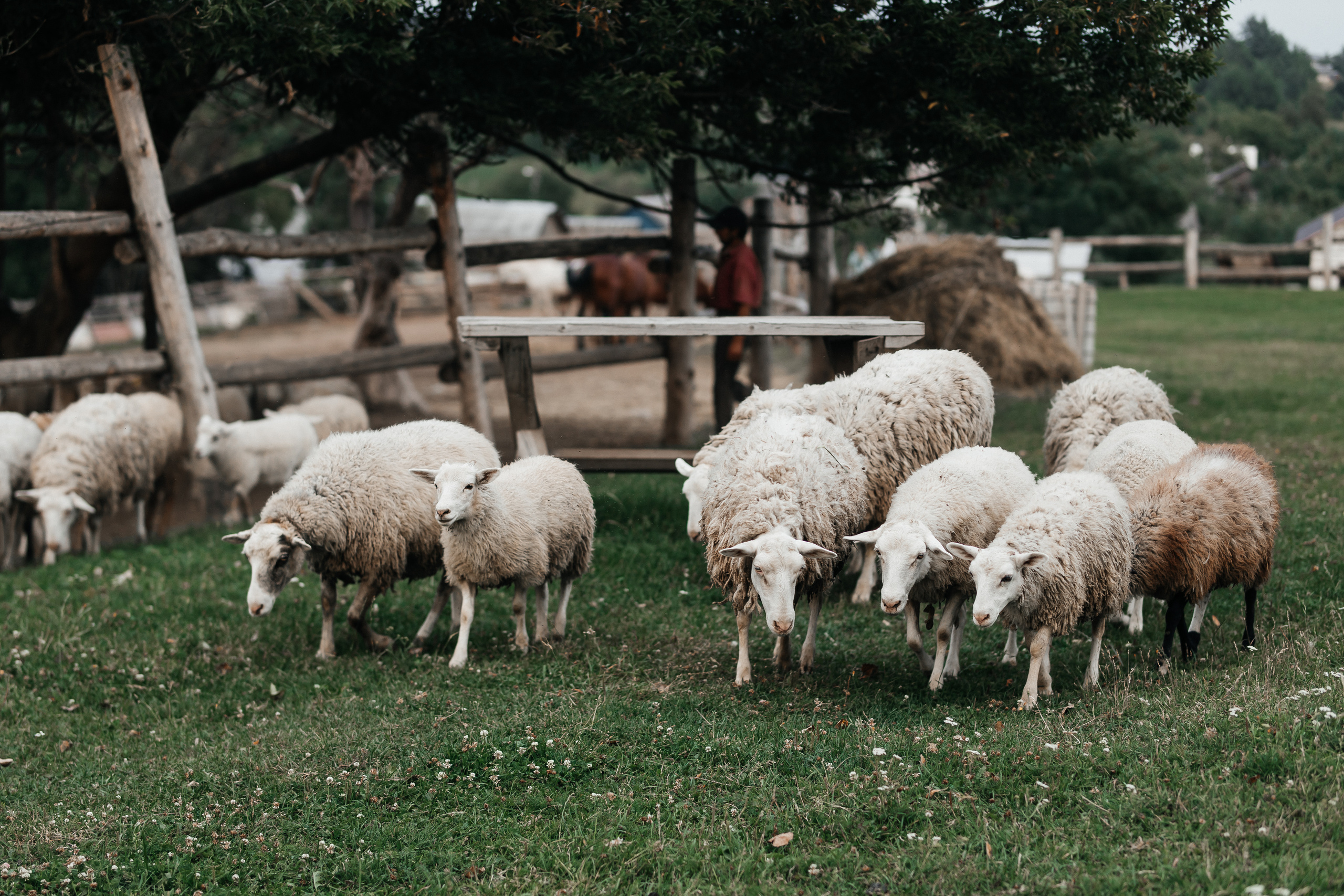 Просто безумная любовь. Polovinka.Photo — Свадебный и семейный фотограф Минск