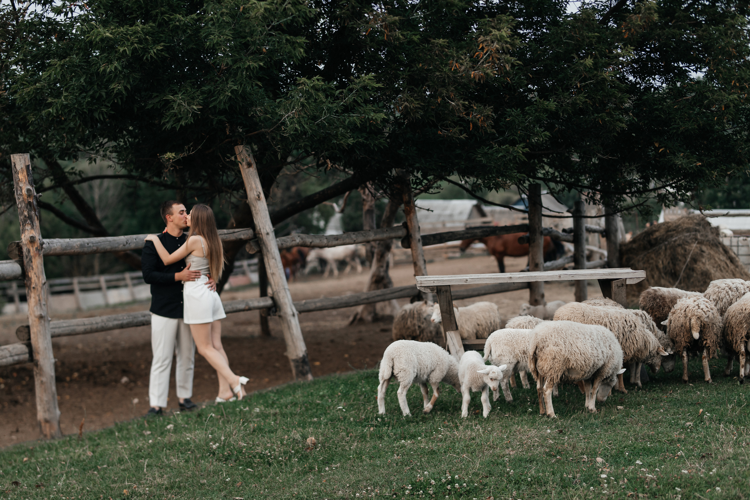 Просто безумная любовь. Polovinka.Photo — Свадебный и семейный фотограф Минск