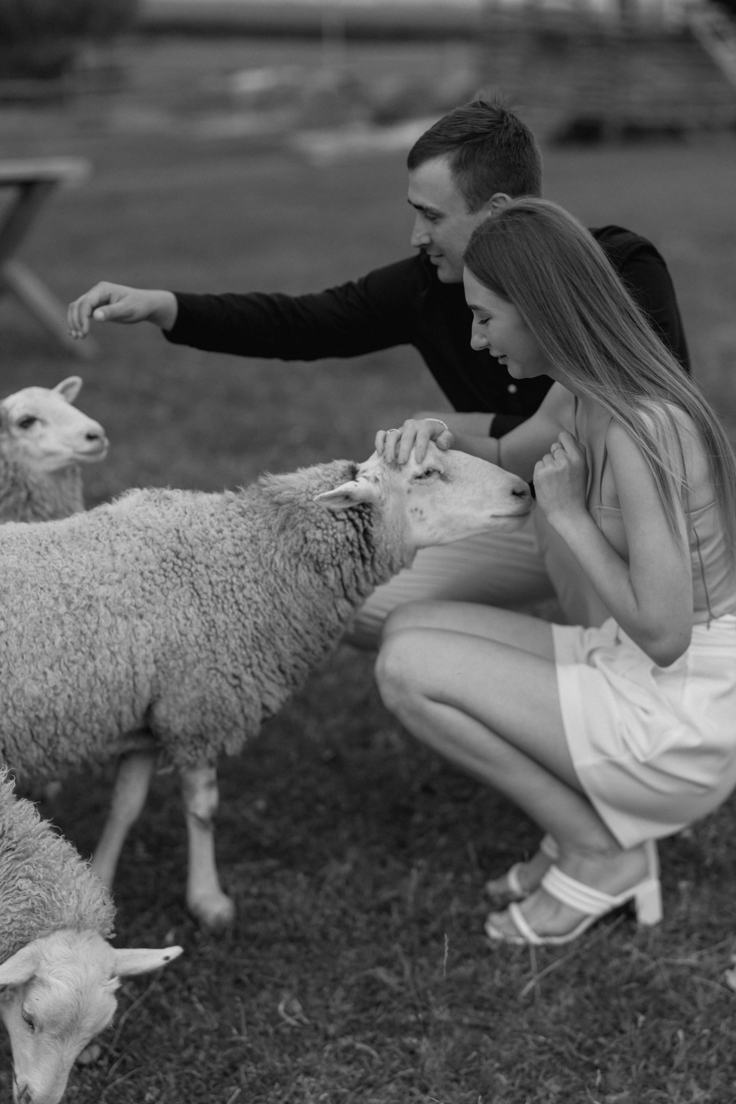 Просто безумная любовь. Polovinka.Photo — Свадебный и семейный фотограф Минск