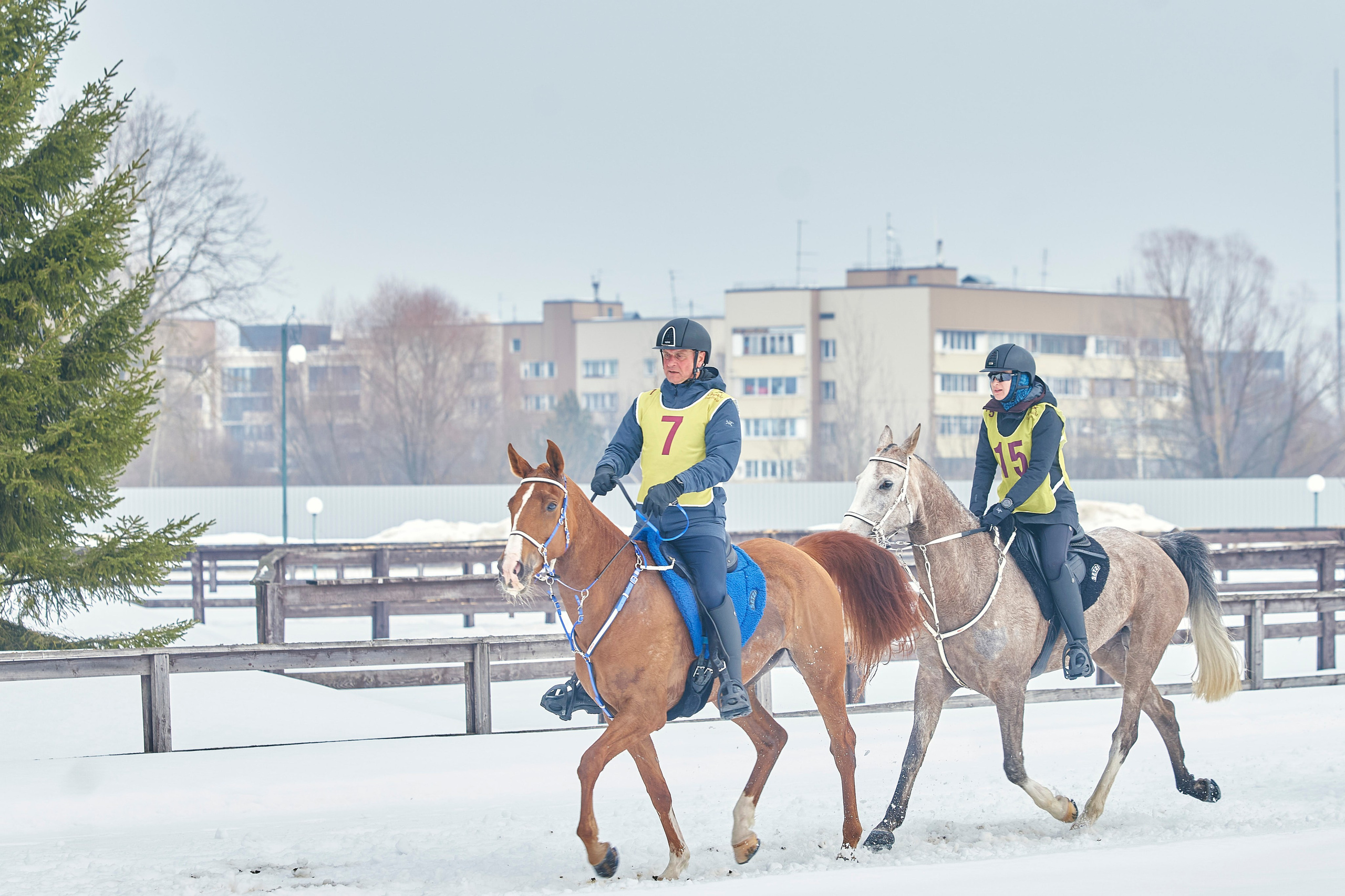 HORSE RACING. Фотограф Наталья Леонова
