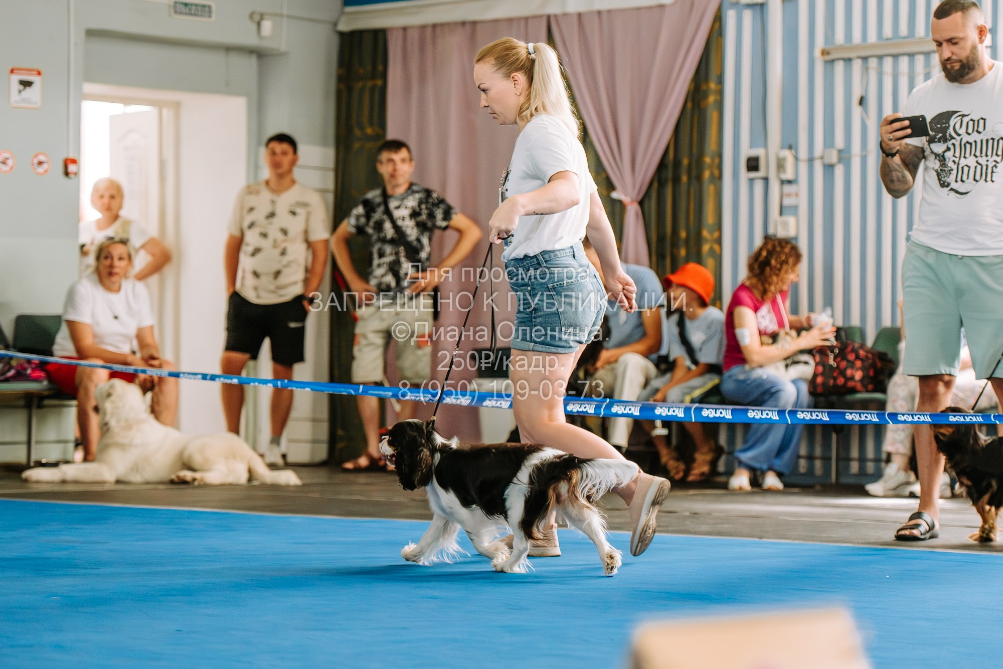 Национальная выставка собак всех пород ранга САС-IKU «Кубок Красноярск. Фотограф Диана Оленина Красноярск / Братск