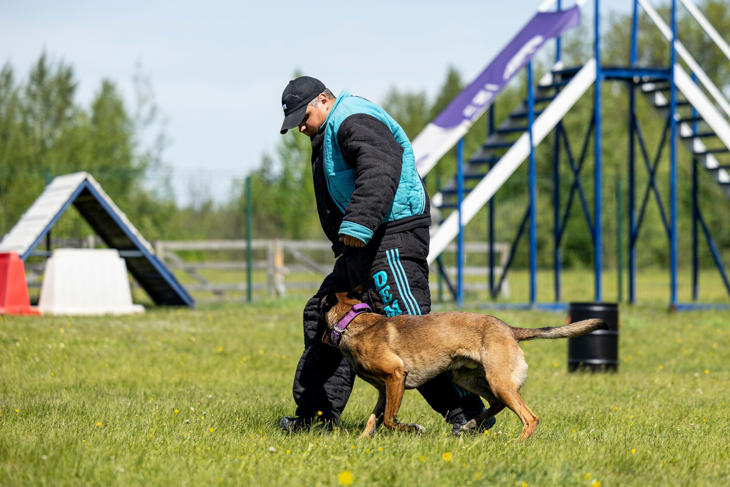 Испытания по мондьорингу в Нижнем Новгороде. Фотограф-анималист Анна Маринич