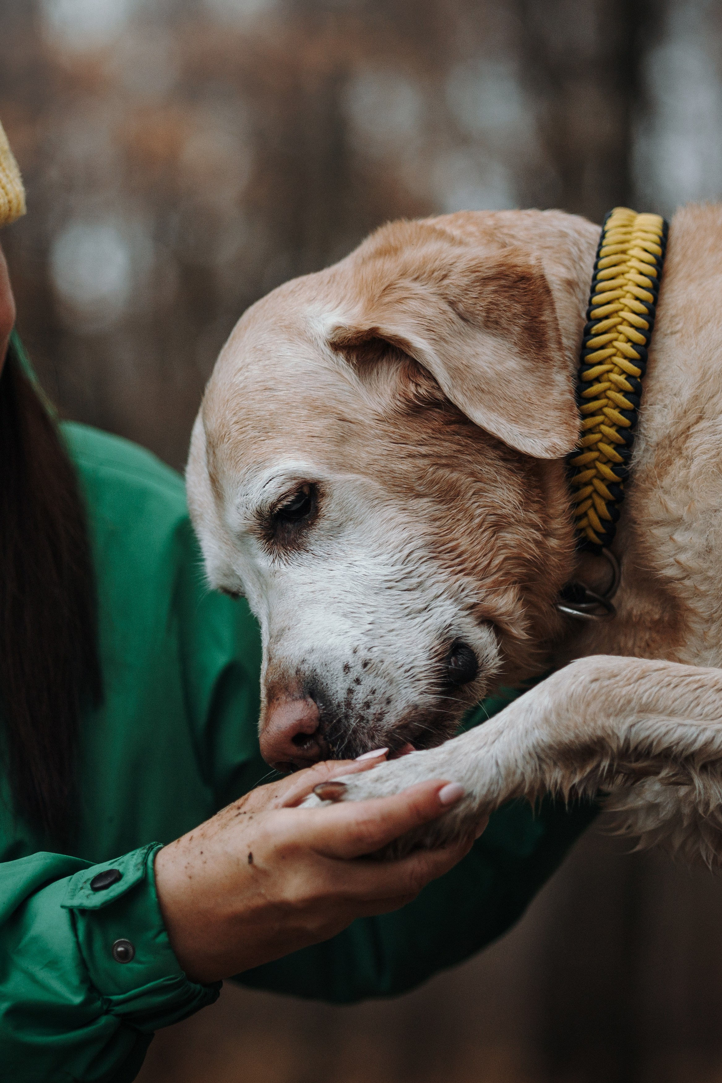 Оксана и Барон. Фотограф — Анималист | Санкт-Петербург