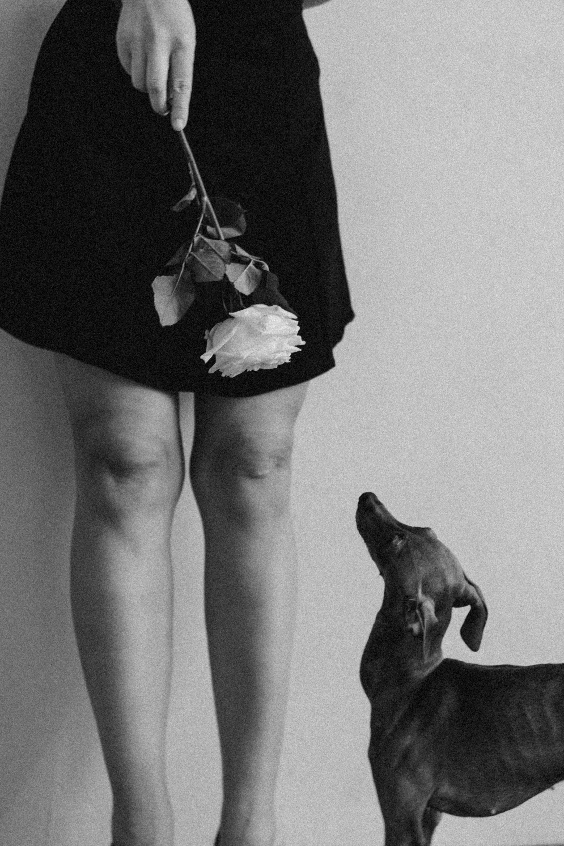 Ксюша и Луна. Фотограф — Анималист | Санкт-Петербург