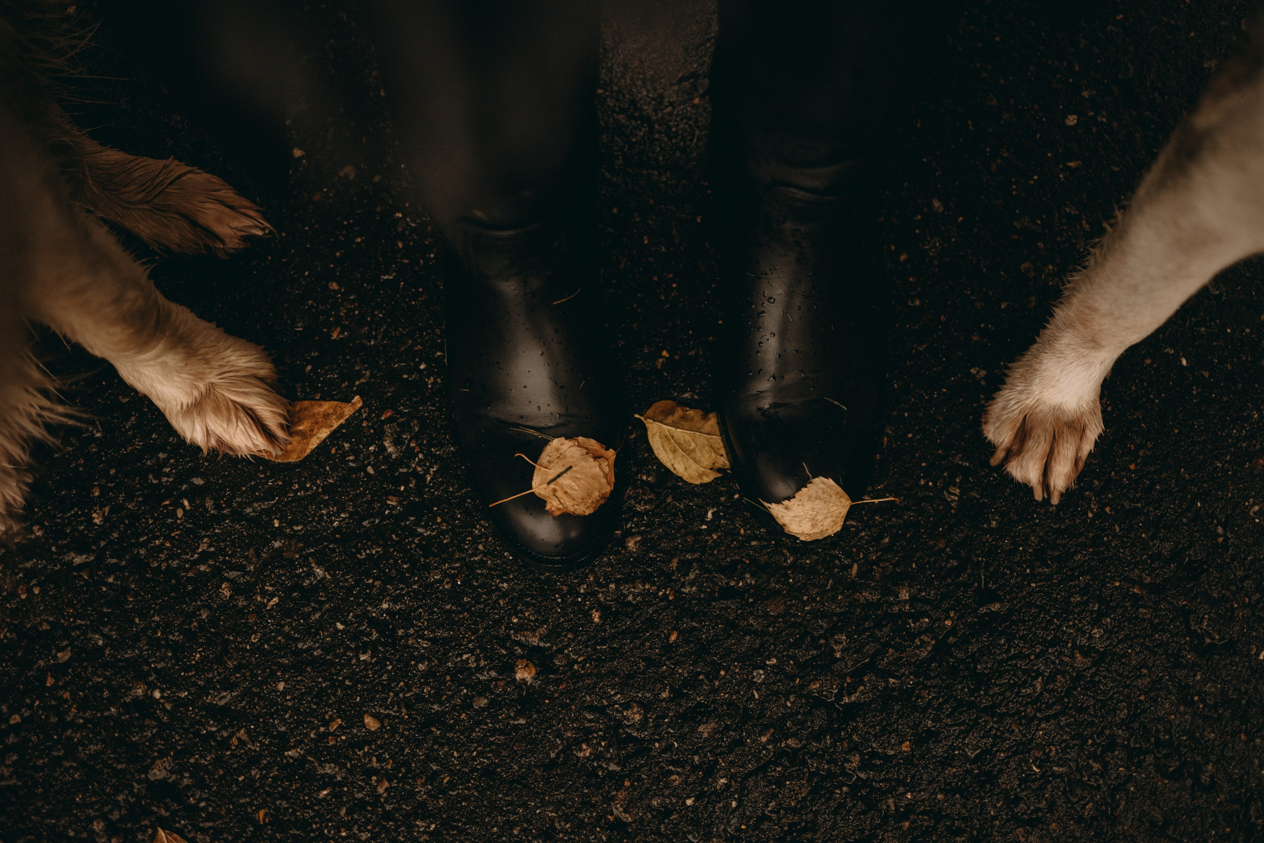 Женя и ее девочки. Фотограф — Анималист | Санкт-Петербург