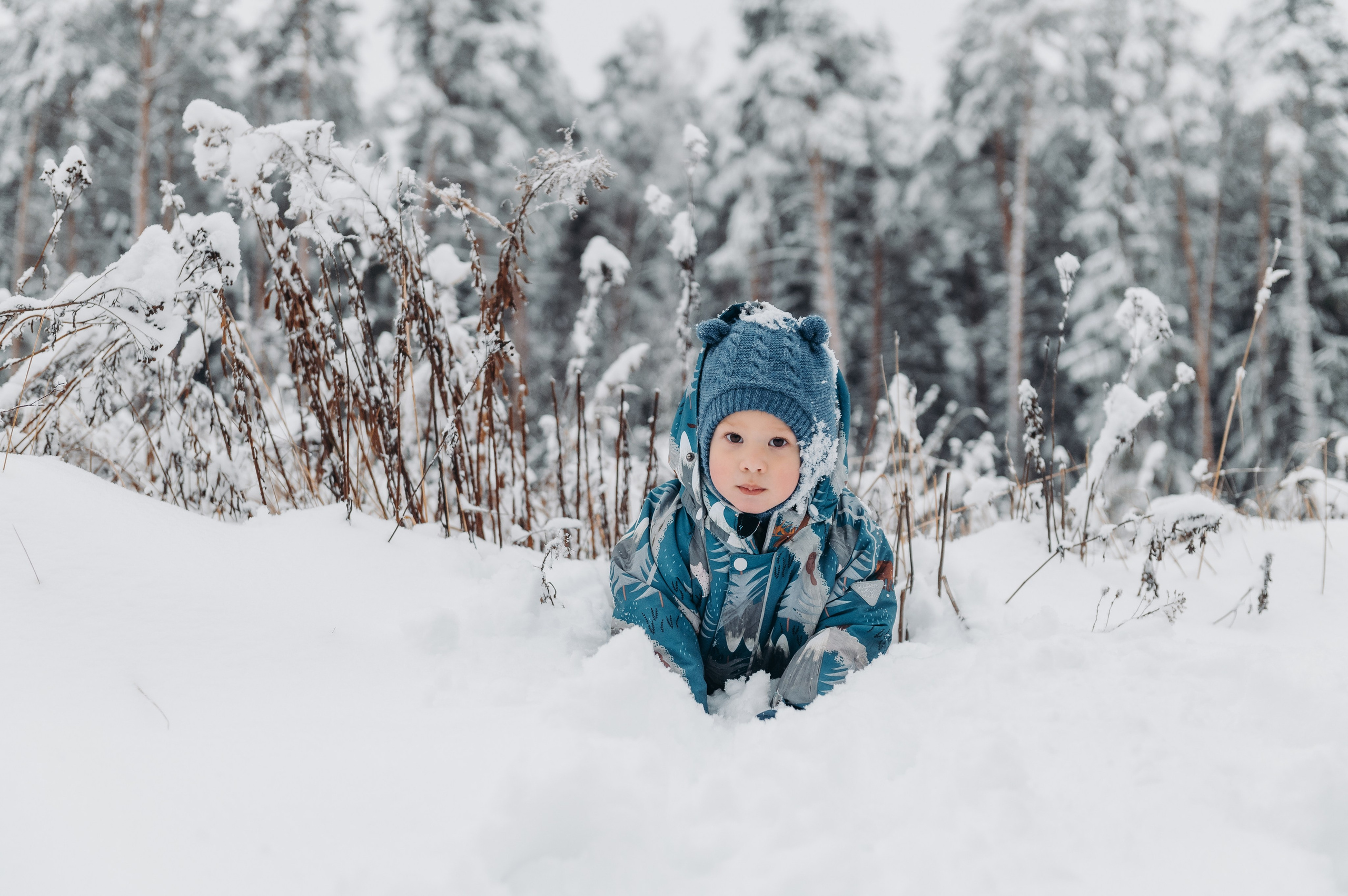 Снежная прогулка. Главная