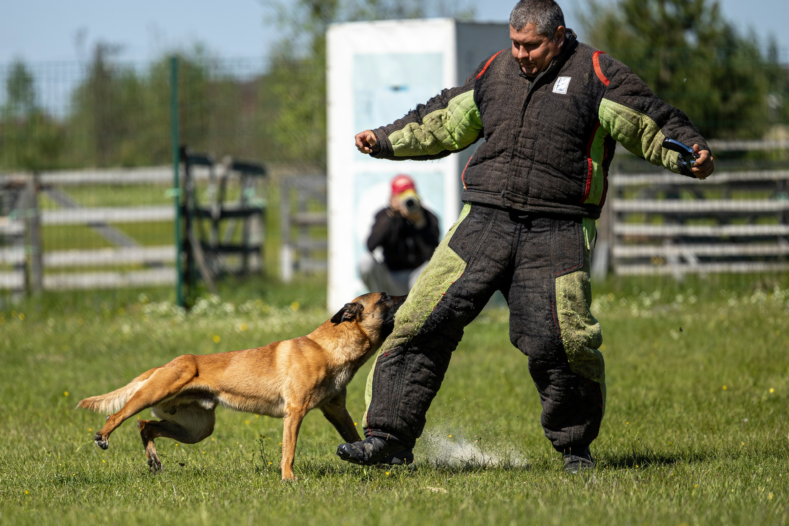 Испытания по мондьорингу в Нижнем Новгороде. Фотограф-анималист Анна Маринич
