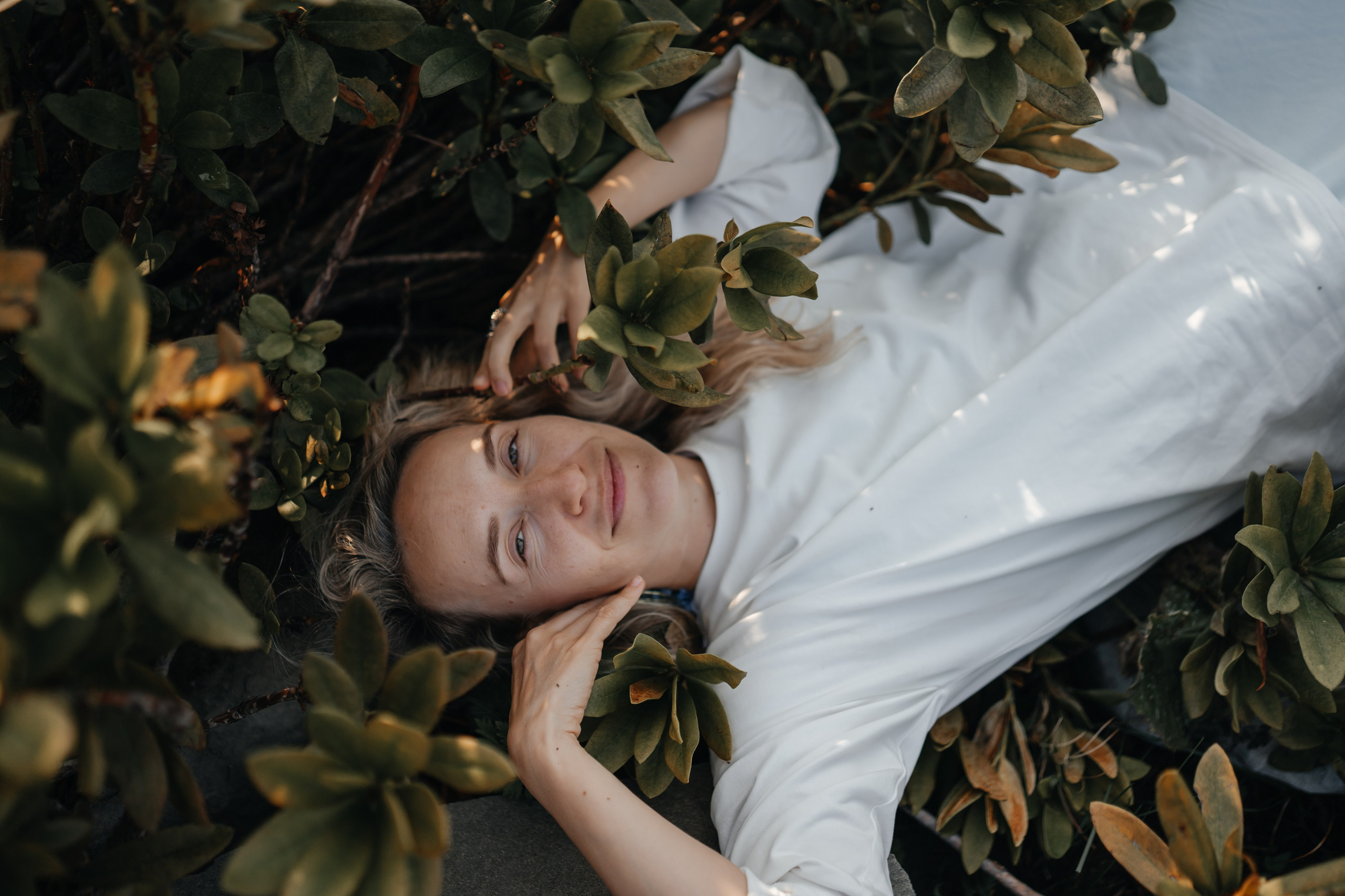 Астра. Главная