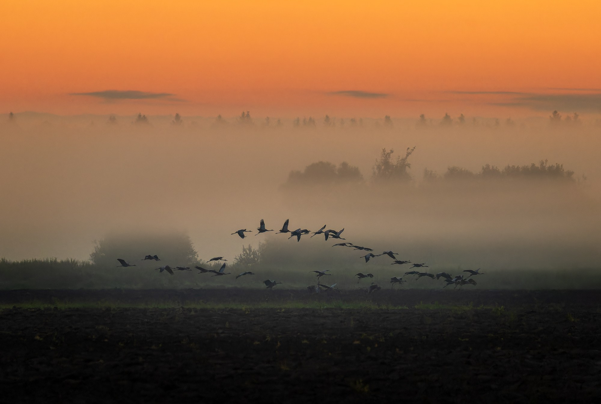 От заката до рассвета. Ваш личный фотограф Марина Волкова