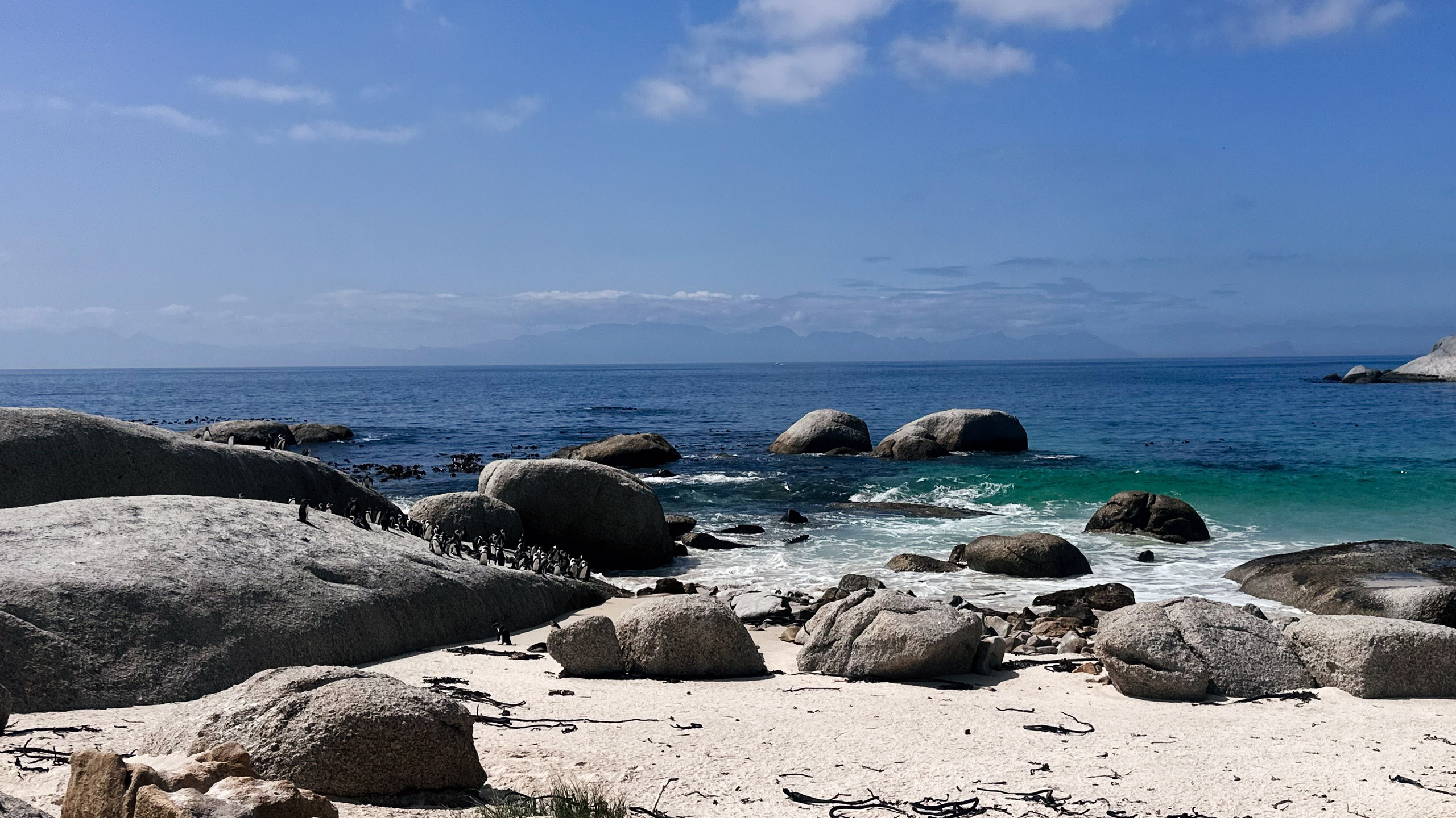 Africa/UAR. @oljiofilm: Олег Иванов — фотограф