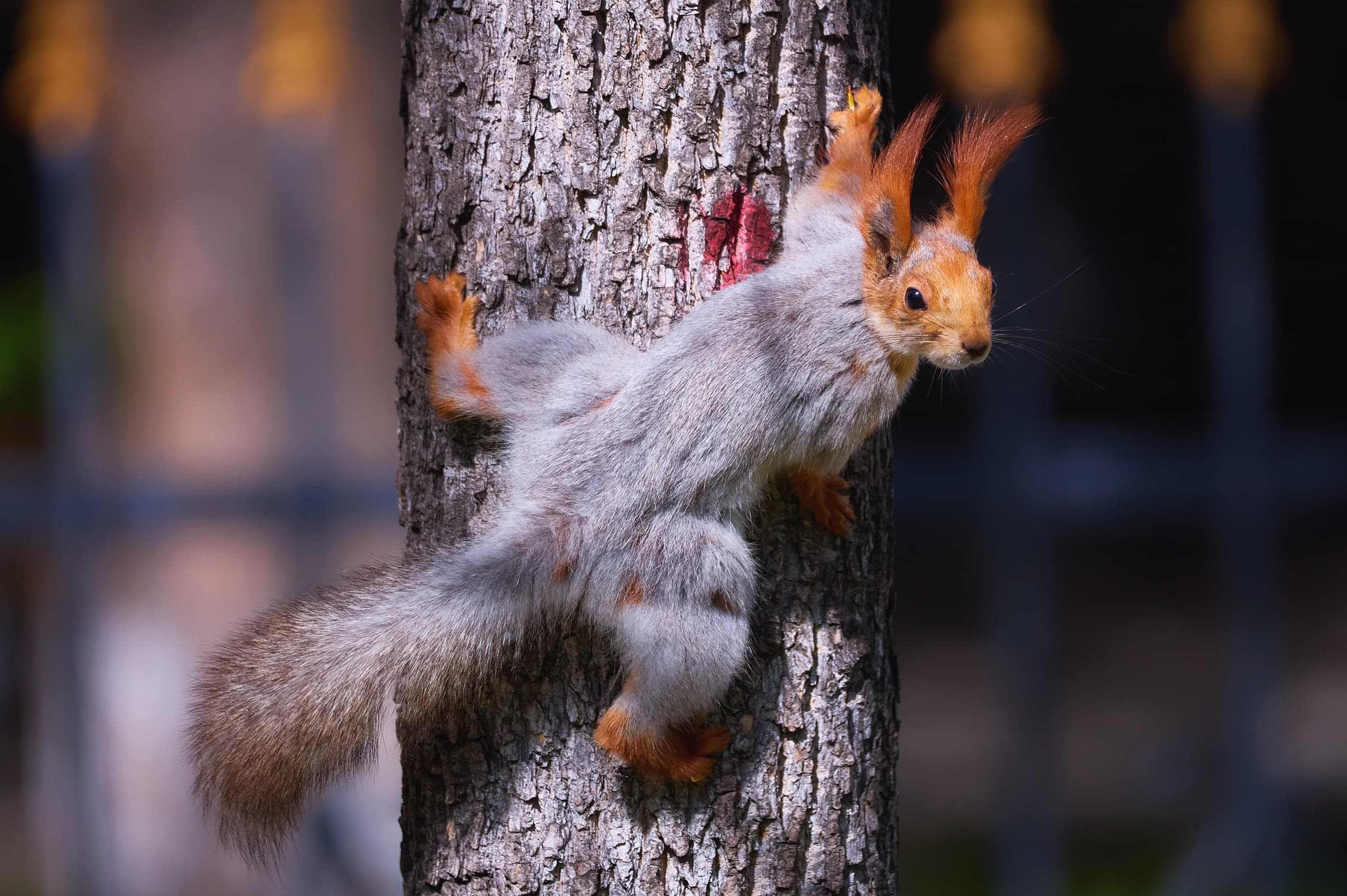Учебник фотографии. Международная онлайн-фотошкола Сергея Рожнова