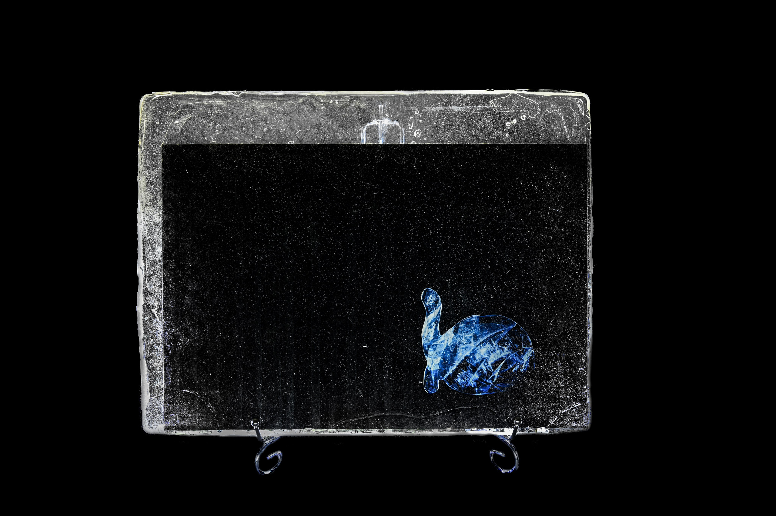 Абингдонская слоновая черепаха. 2024 год. Размер : 30 см на 40 см. LightJet бумага Pearl, ламинация хол.глянцевая, накатка Dibond, эпоксидная смола. Цена по запросу